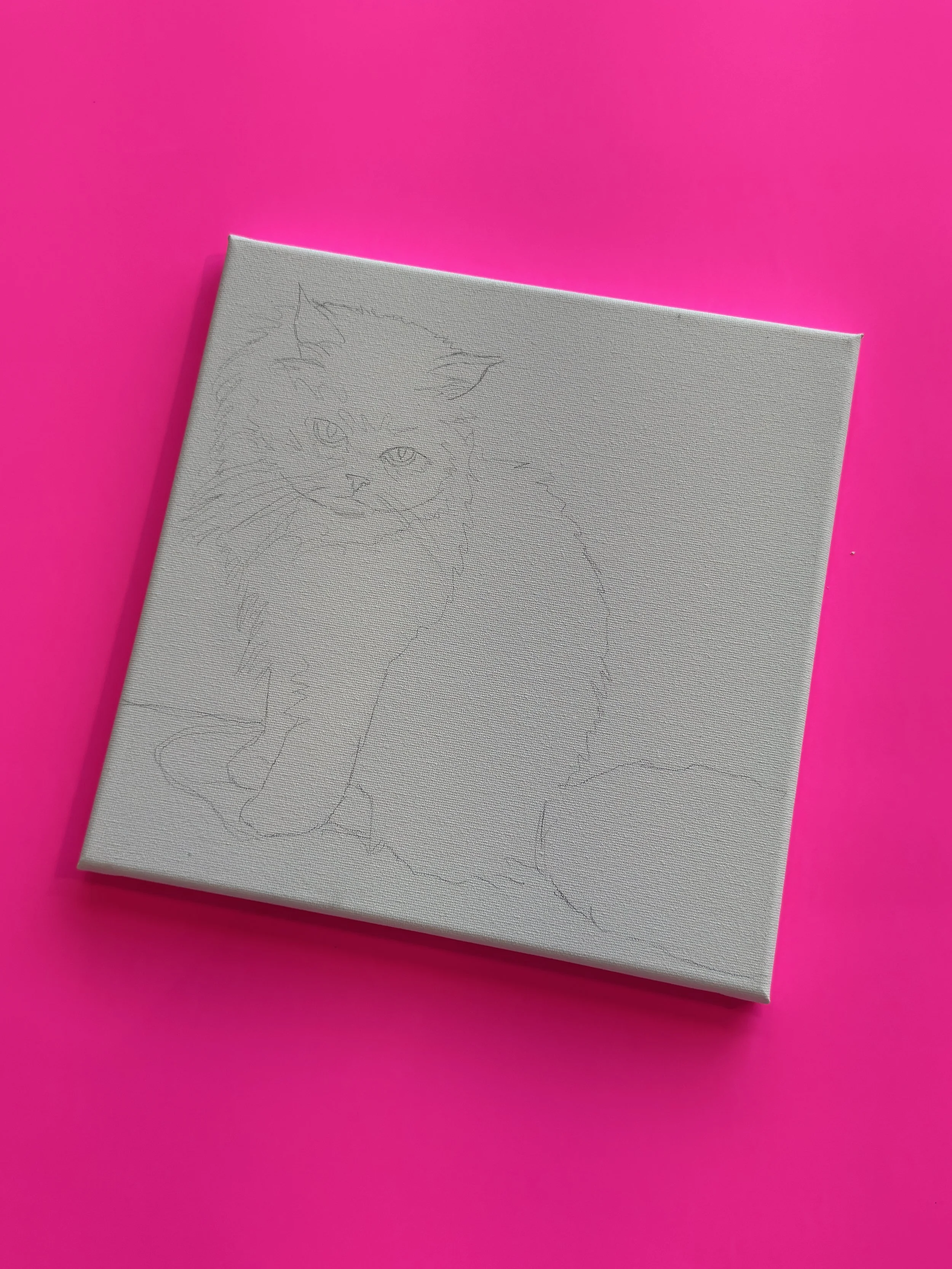 Cat Party! Meow! Paint Your Cat!
