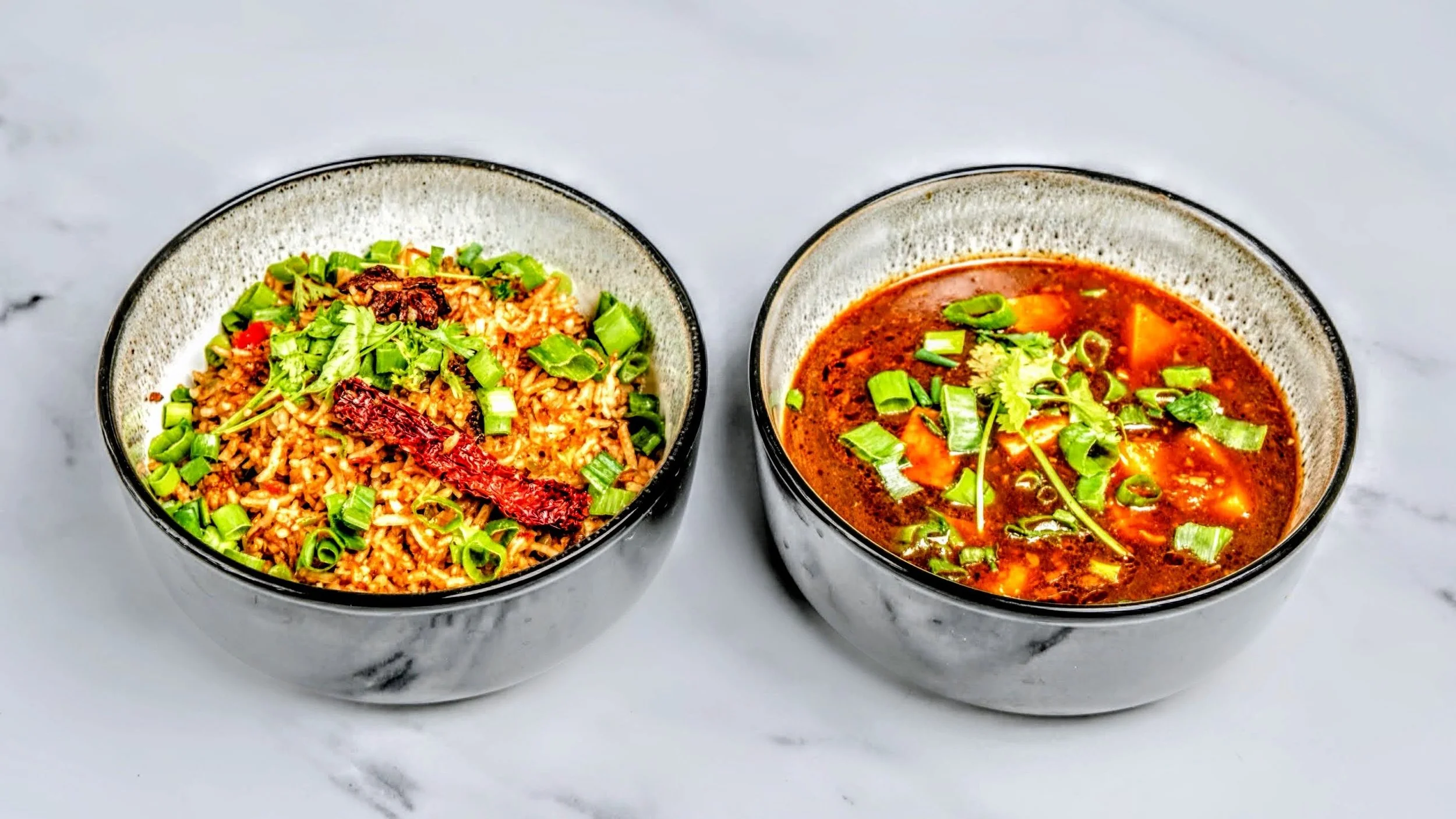 GourmetGalliLimited_ChilliPameerGravyWithSchezwanFruedRice Copy.JPG