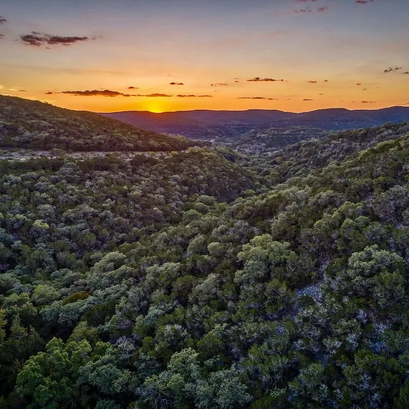Sunset over a lush, green forested valley with hills in the background.