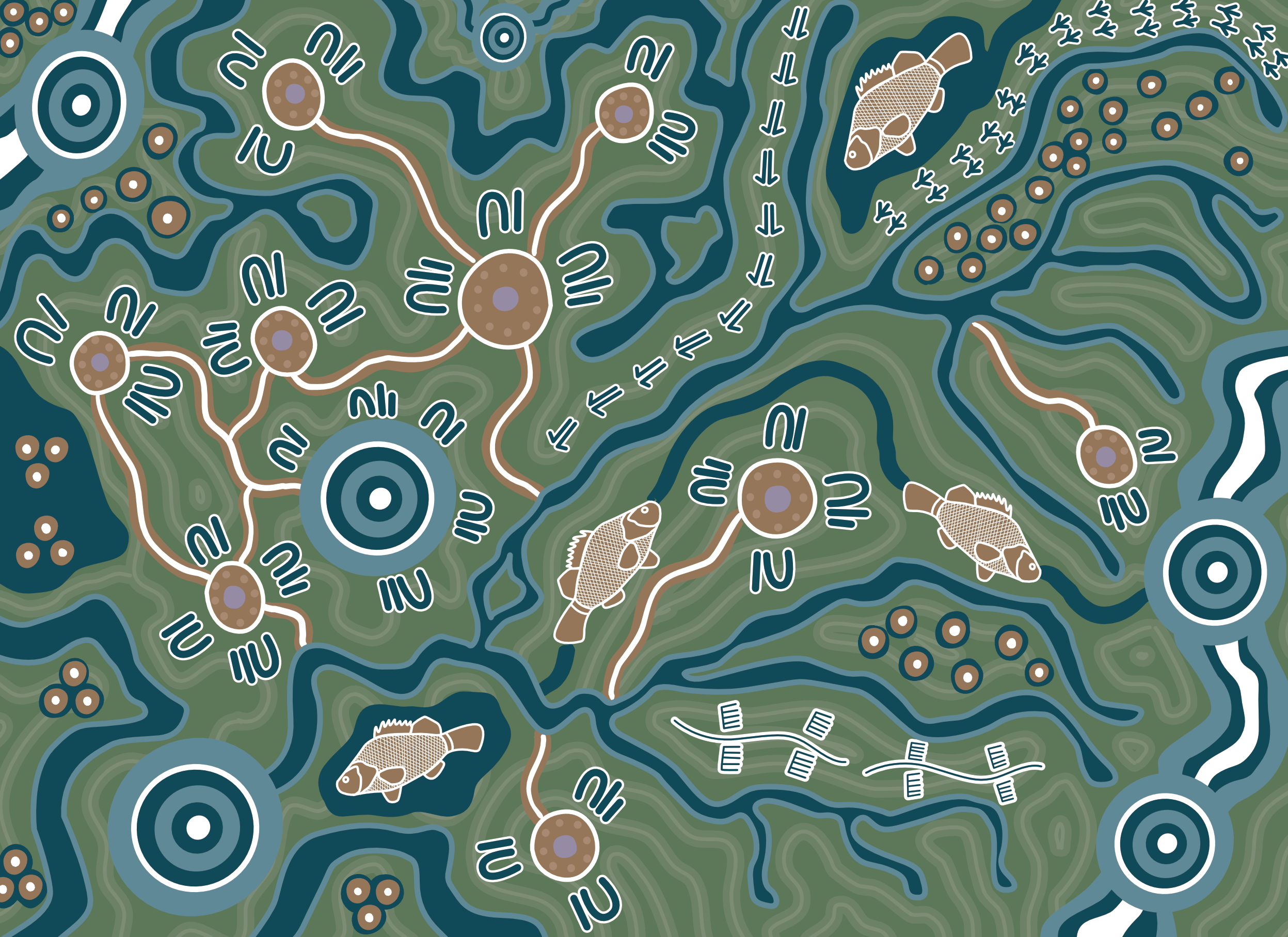 Murray Darling Basin project CIR RESIZED.png