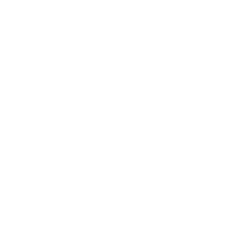 Drawing of a maple leaf  made with a single line