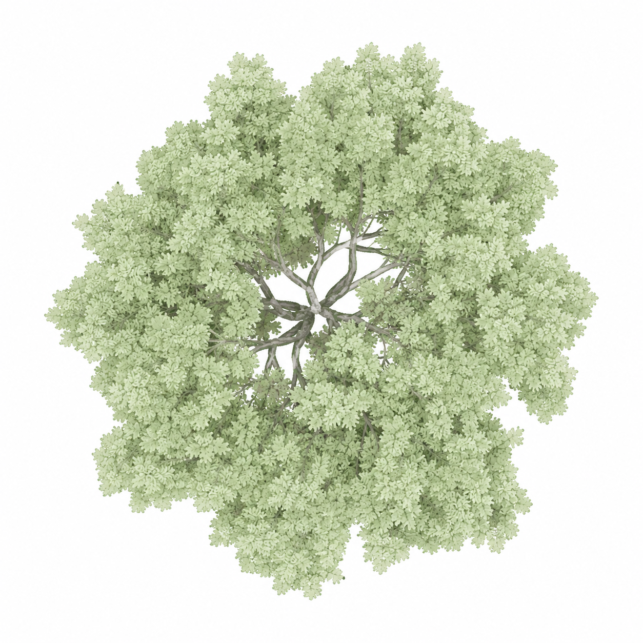 tree symbol adjusted.png