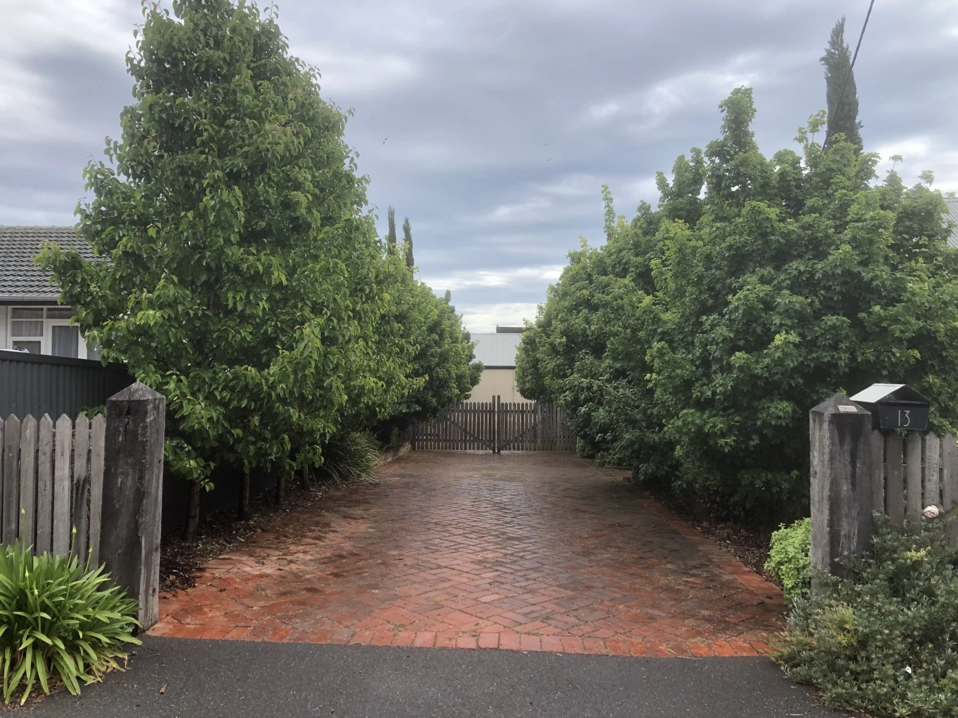 Planting Design Only - Leave it Completely With Us