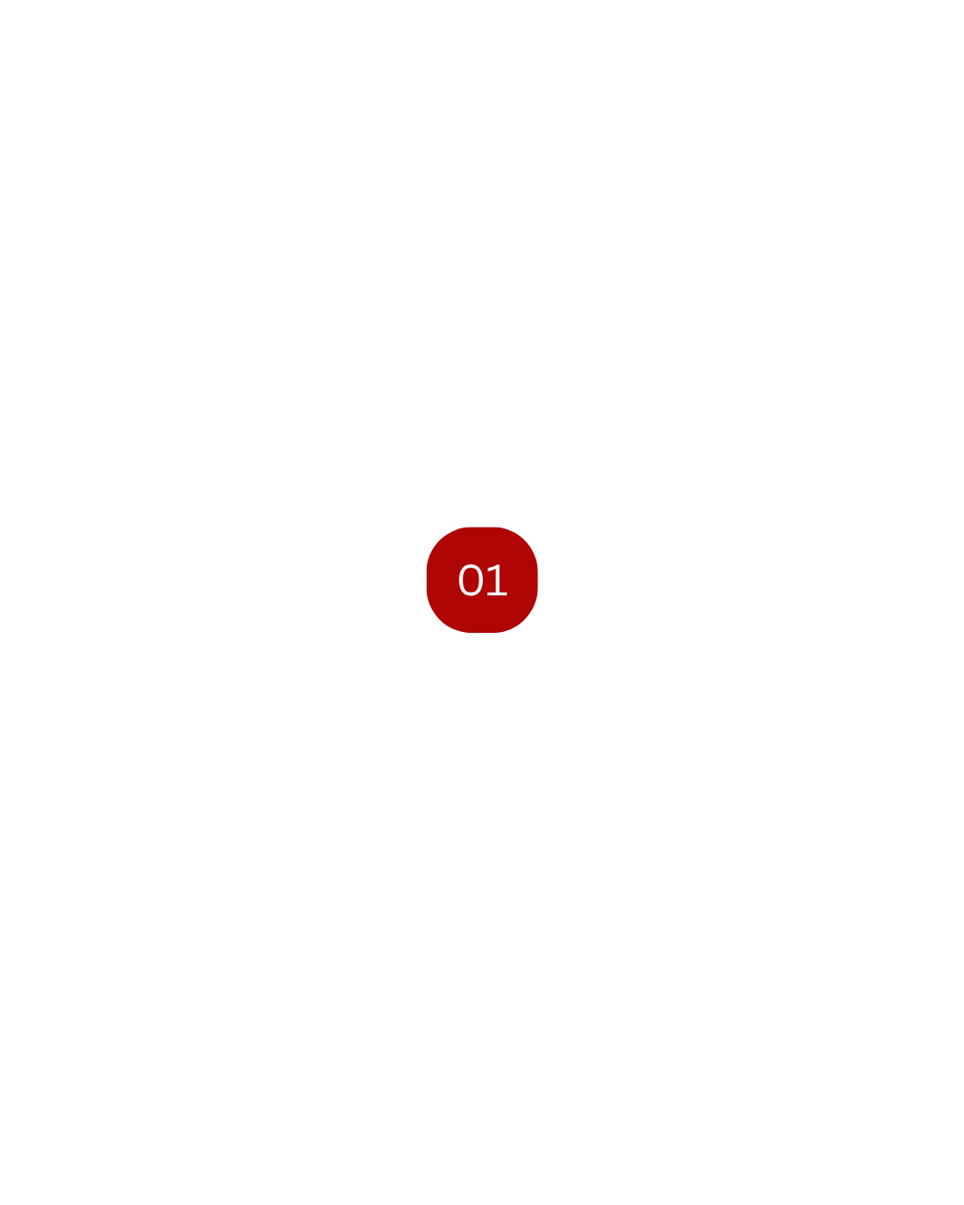 Diagram showing the organization of a virtual reality program with categories for licensing and development, and a central focus labeled '01' in red.