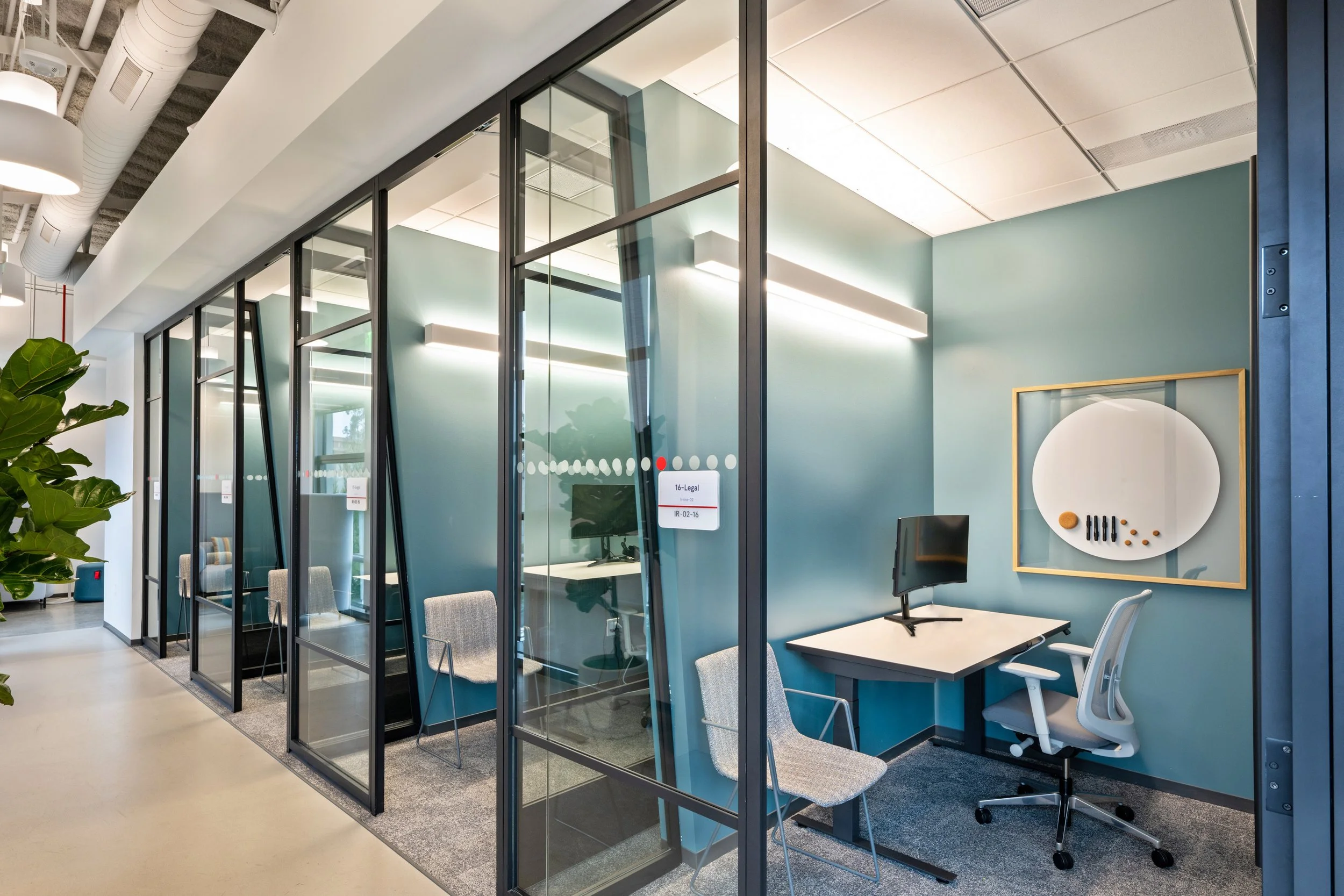 An office space with glass-walled meeting rooms, light blue walls, modern furniture, and track lighting. There is a large green plant in the foreground and a framed art piece on the wall inside the room.