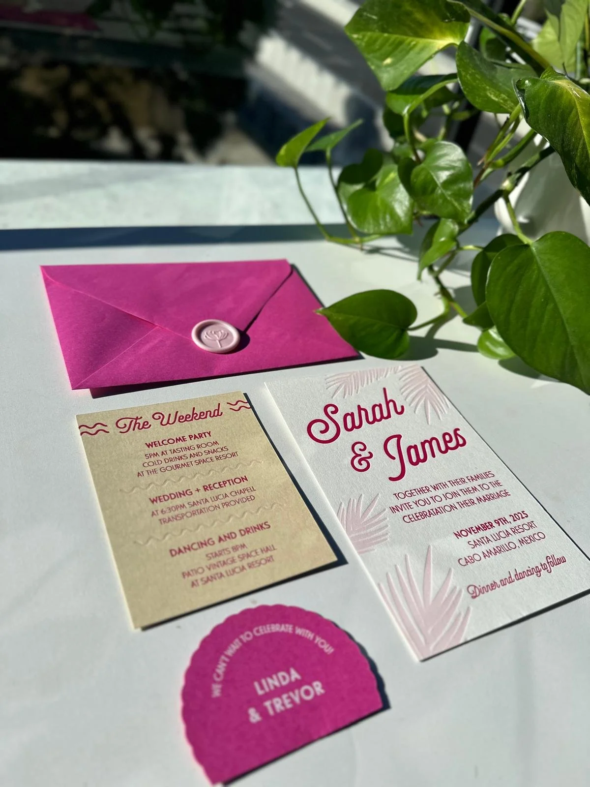 Wedding invitation with the names Sarah and James, a pink envelope with a wax seal, a schedule of events including a welcome party, wedding, and reception, a green houseplant, and a pink and beige RSVP card.