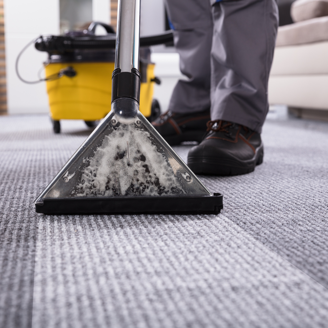 A person cleaning a carpet with a carpet cleaning machine in a room.