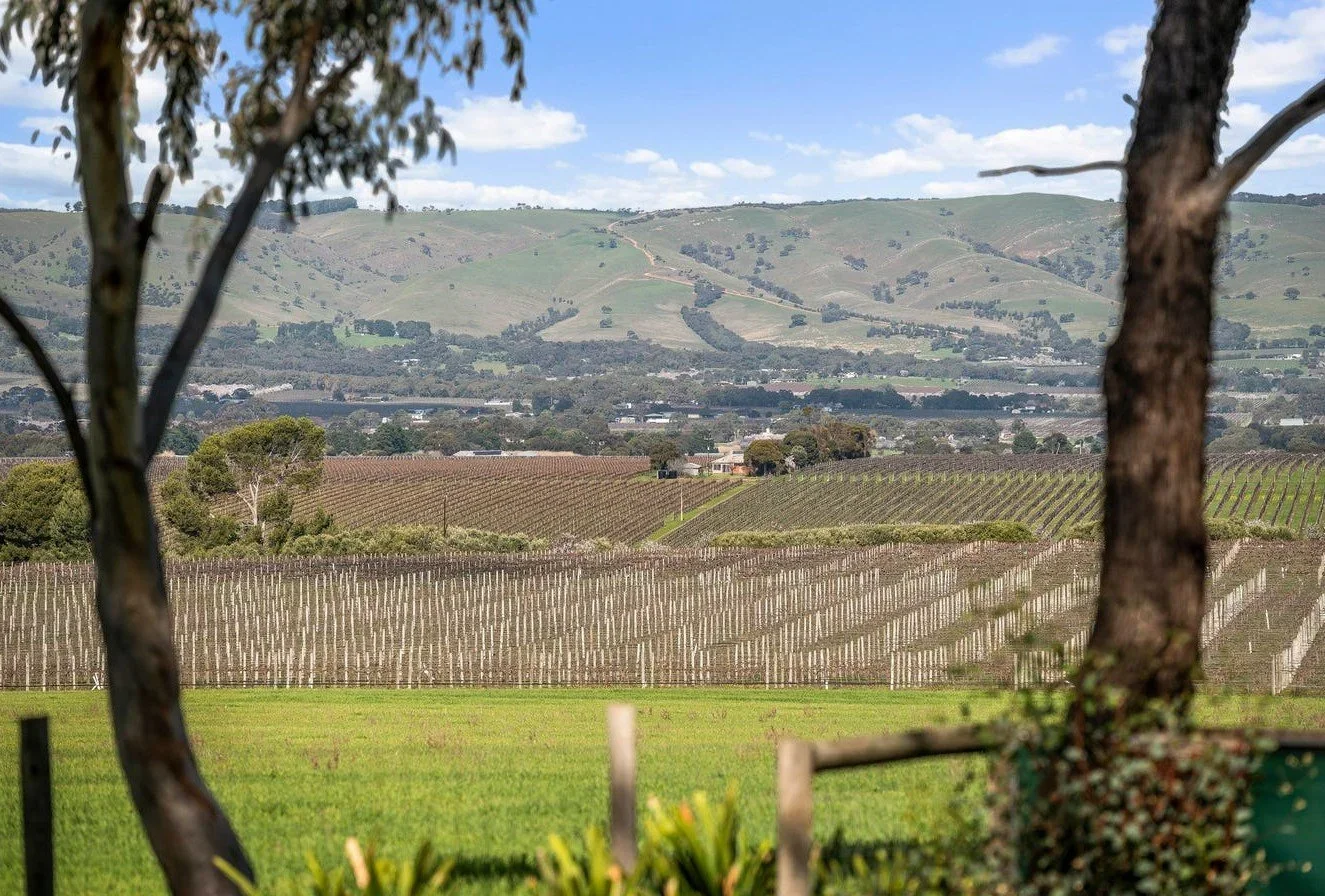 Stunning Lifestyle Opportunity Amongst Vineyards