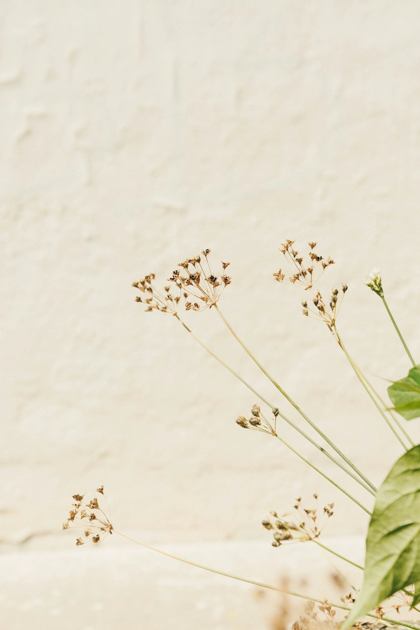 How Family Therapy Works and How It Can Help