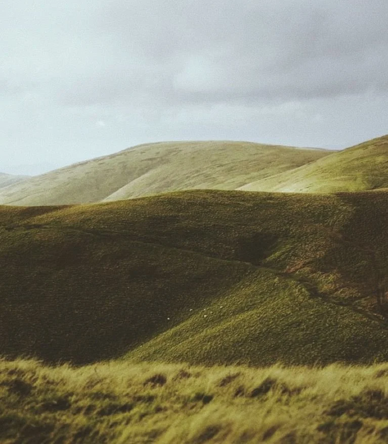 Why Knowing You’re Safe Doesn’t Always Make Anxiety Go Away
