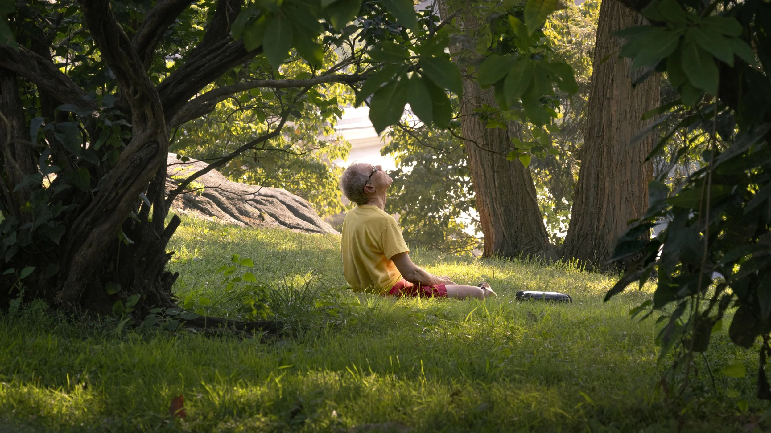 An elderly person with short gray hair and glasses sitting cross-legged on grass under a tree, looking up at the leaves as sunlight filters through.