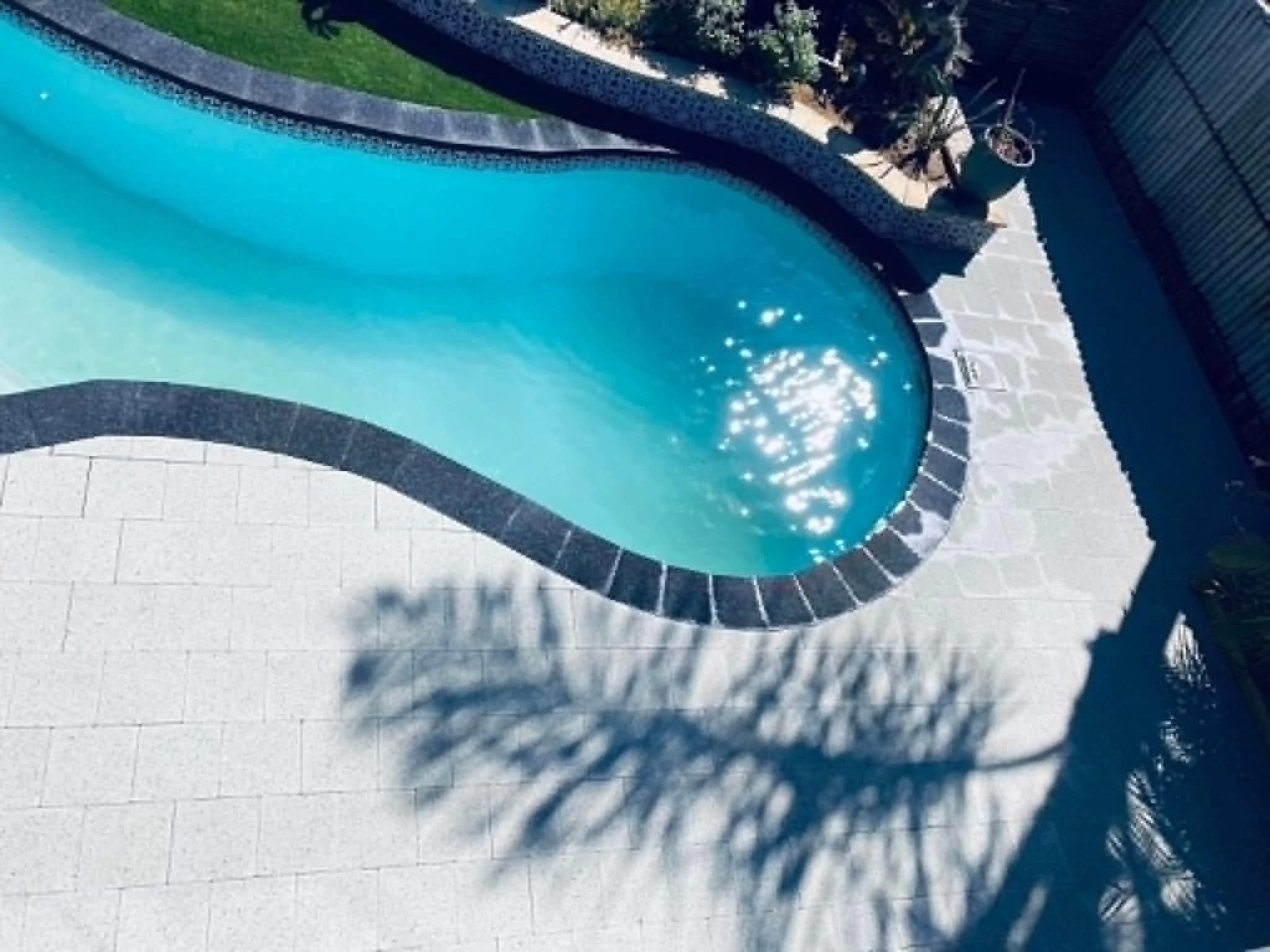 A swimming pool with a curved shape, surrounded by a tiled deck. There is a black fence or barrier along the edge of the pool. Shadows of plants are cast on the tiled deck, and a small potted plant is visible near the pool's edge.