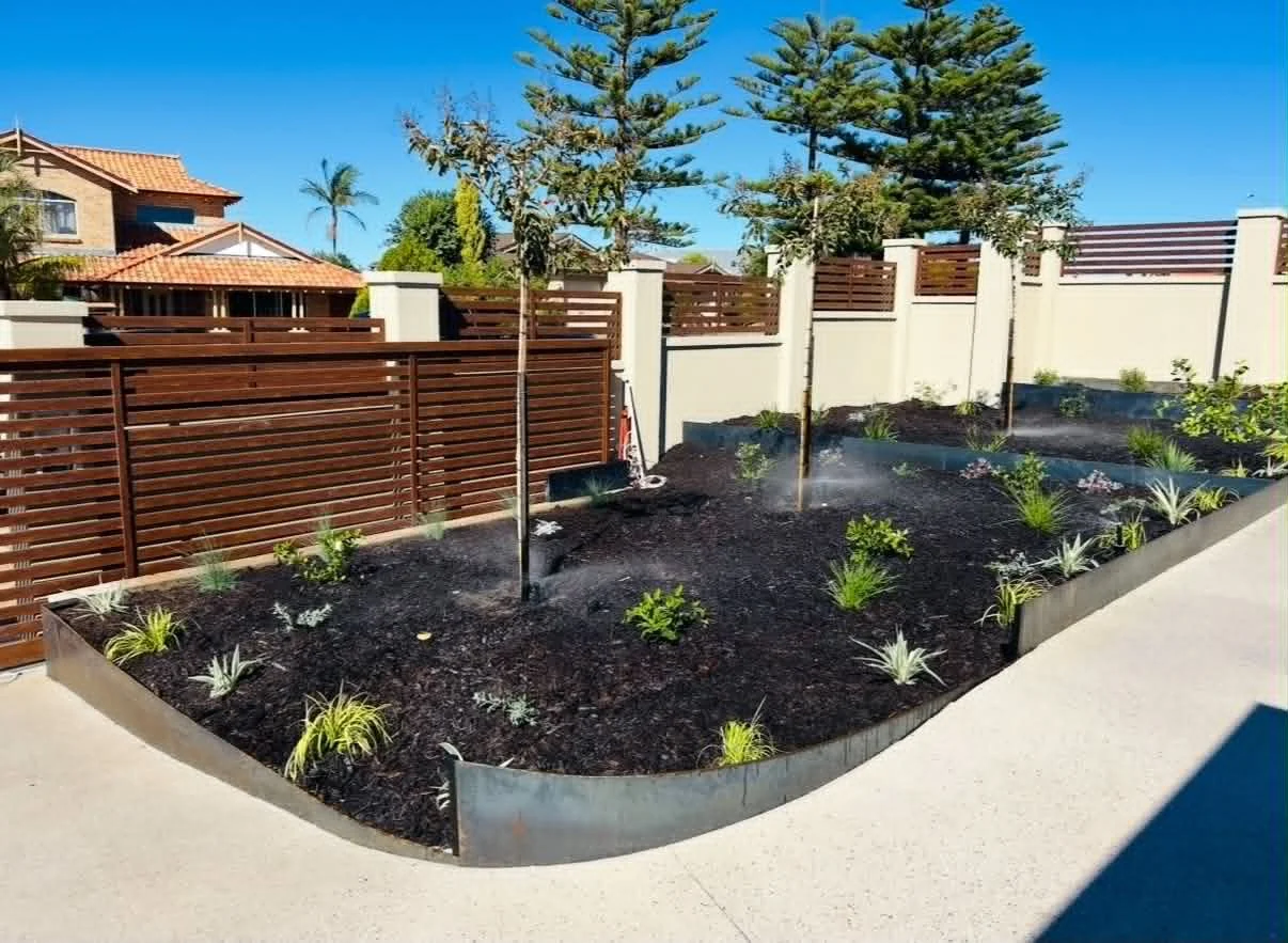 A newly landscaped backyard garden with drought-resistant plants, a curved metal border, and a wooden privacy fence under a clear blue sky.