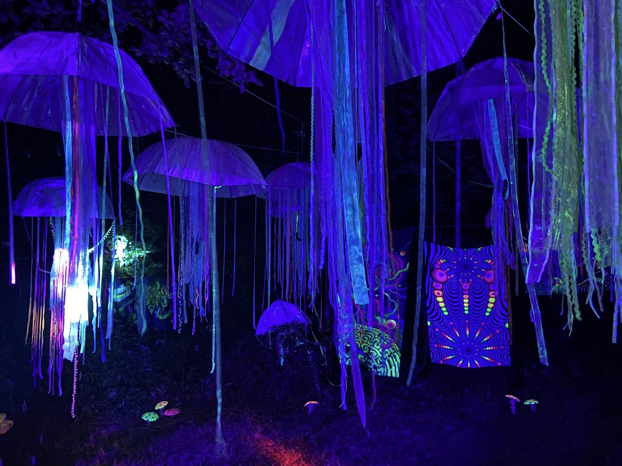 473275920_1606200983330503_7040972361557320564_n.jpg