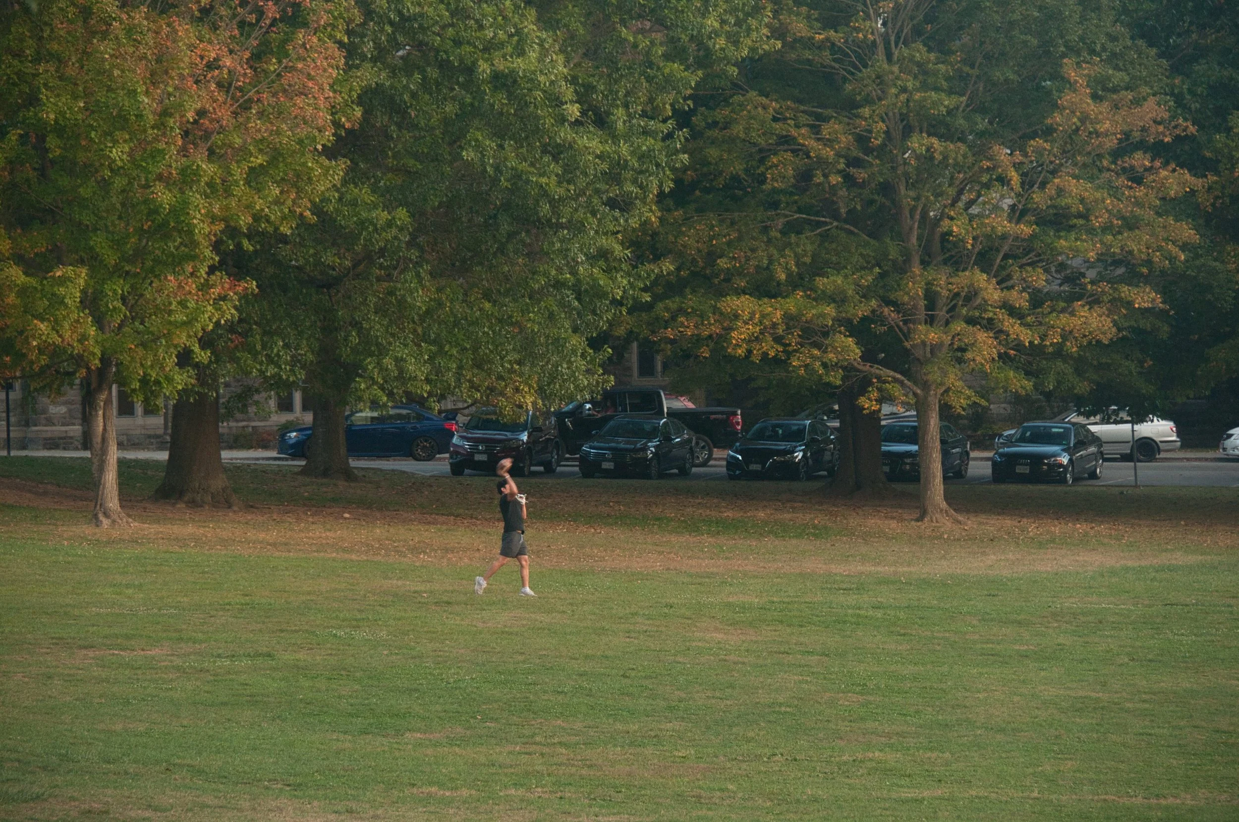 DSC_0030.jpg