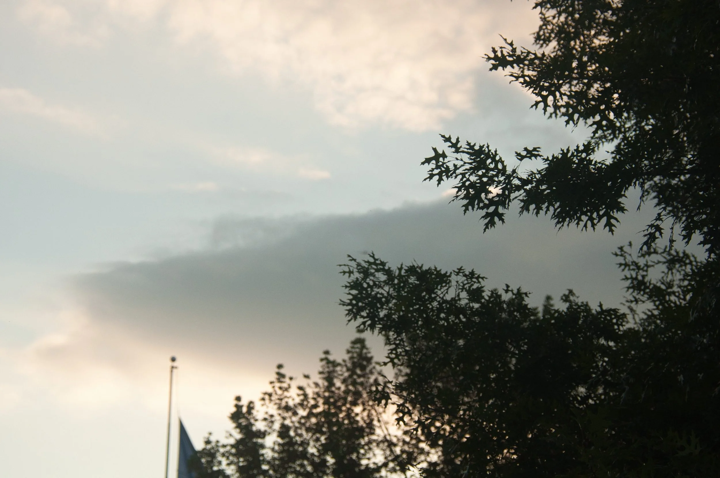 DSC_0027.jpg