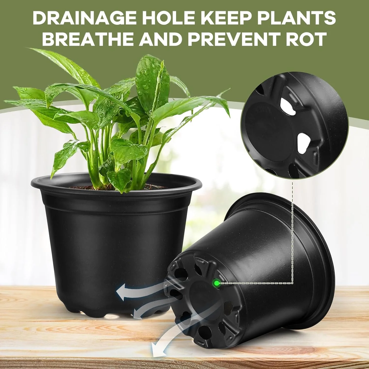 Nursery pot.jpg