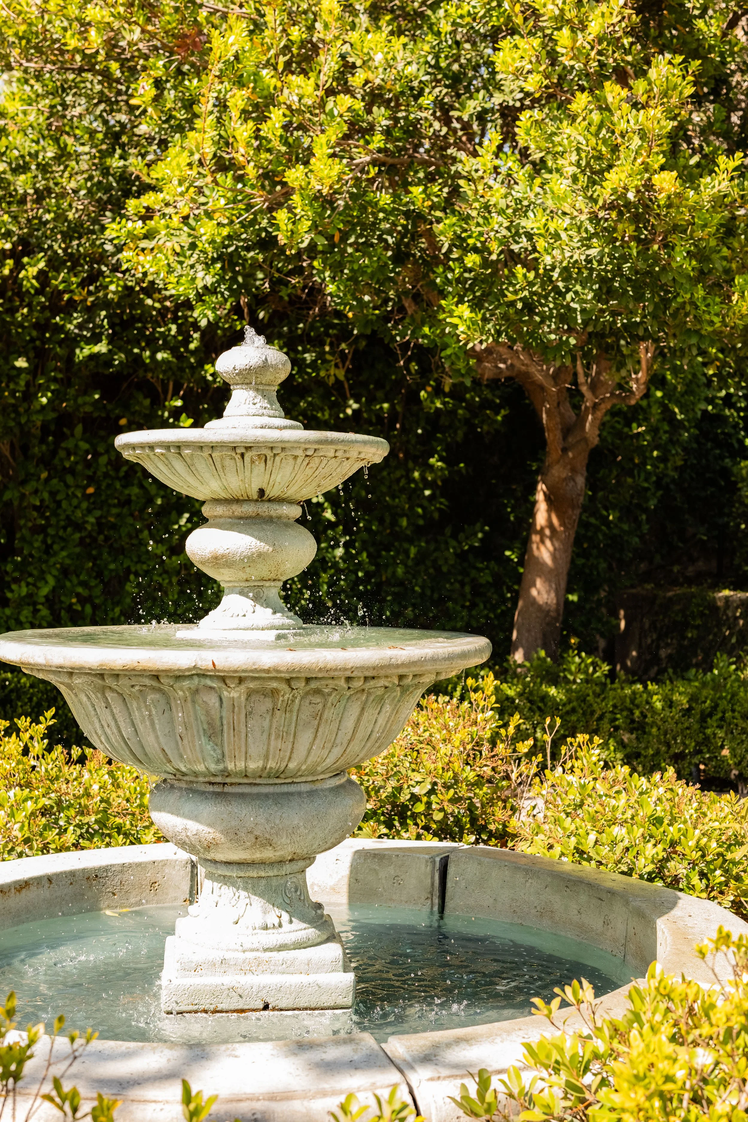 misc-28.jpeg