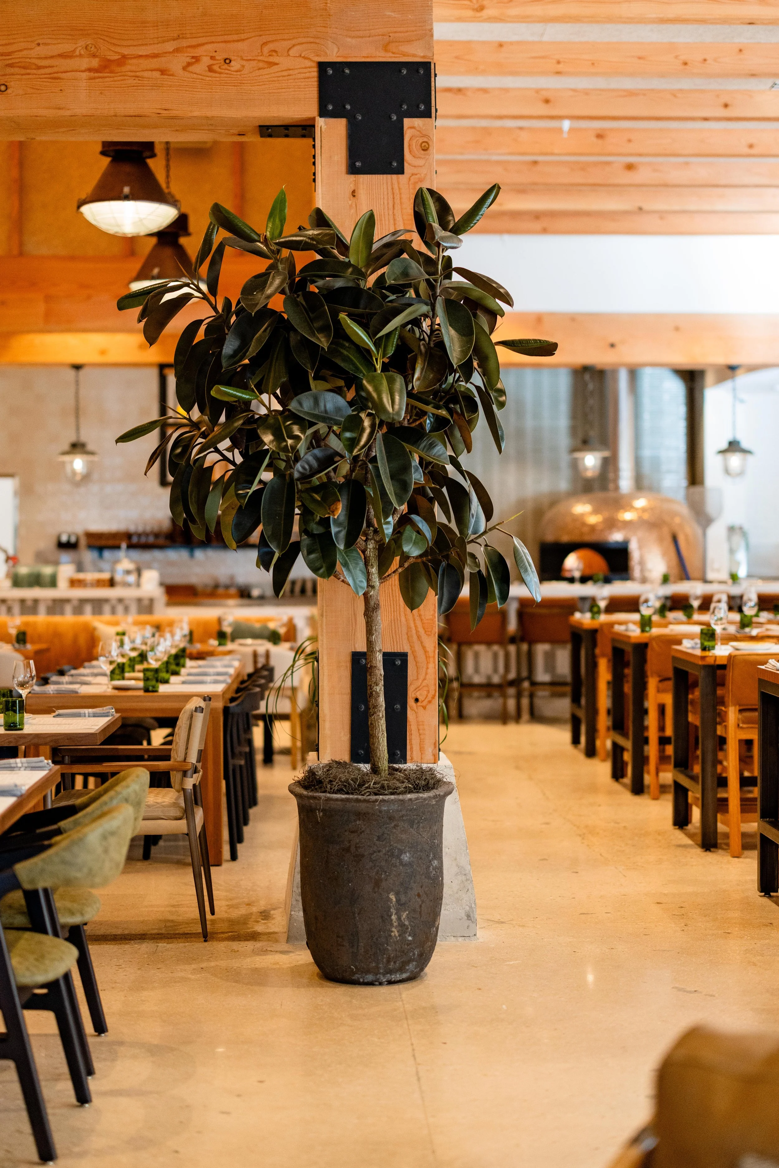 Sixty-Vines La Cantera-89.jpg