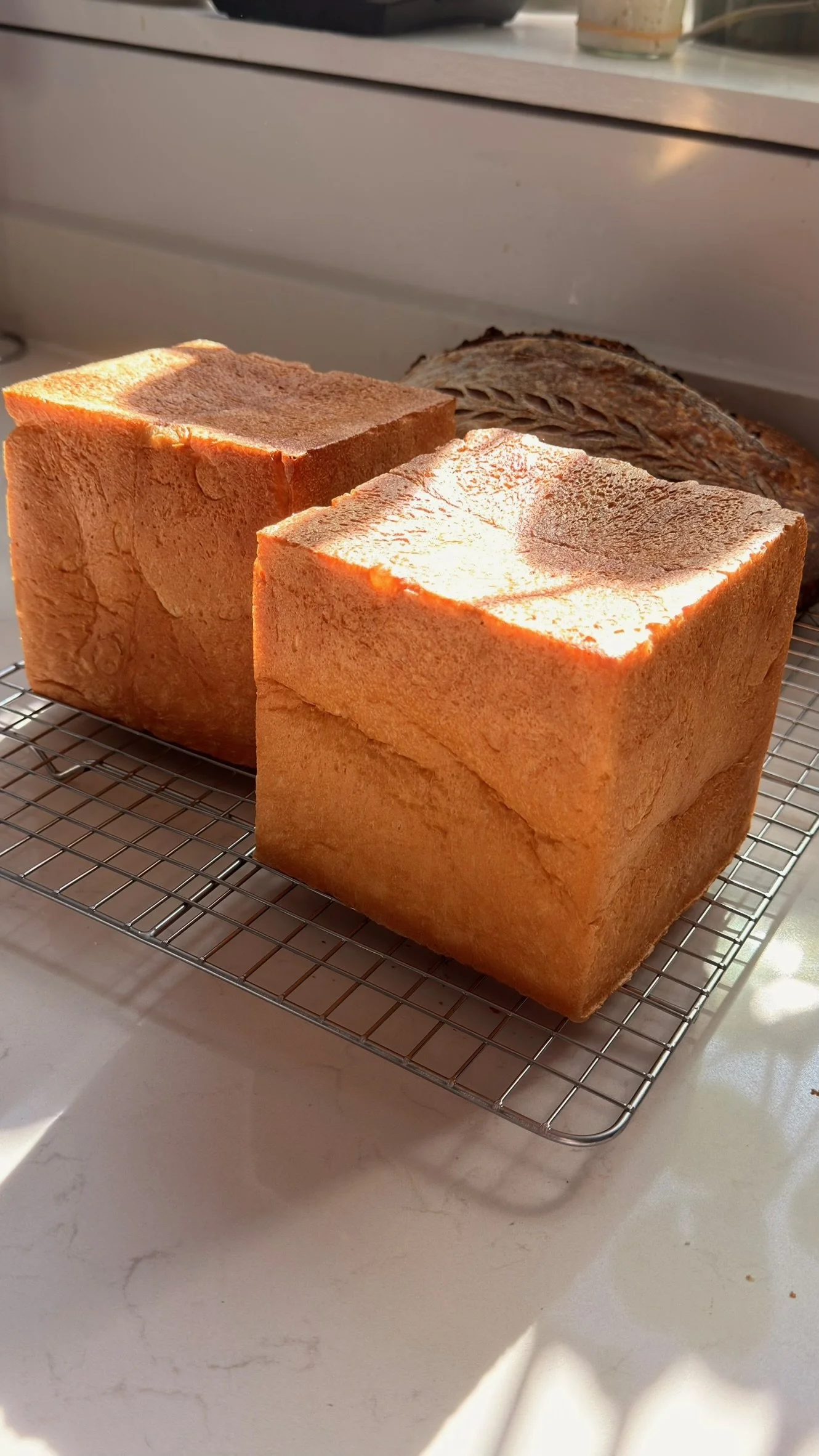 Milk Bread Cube (Shokupan)
