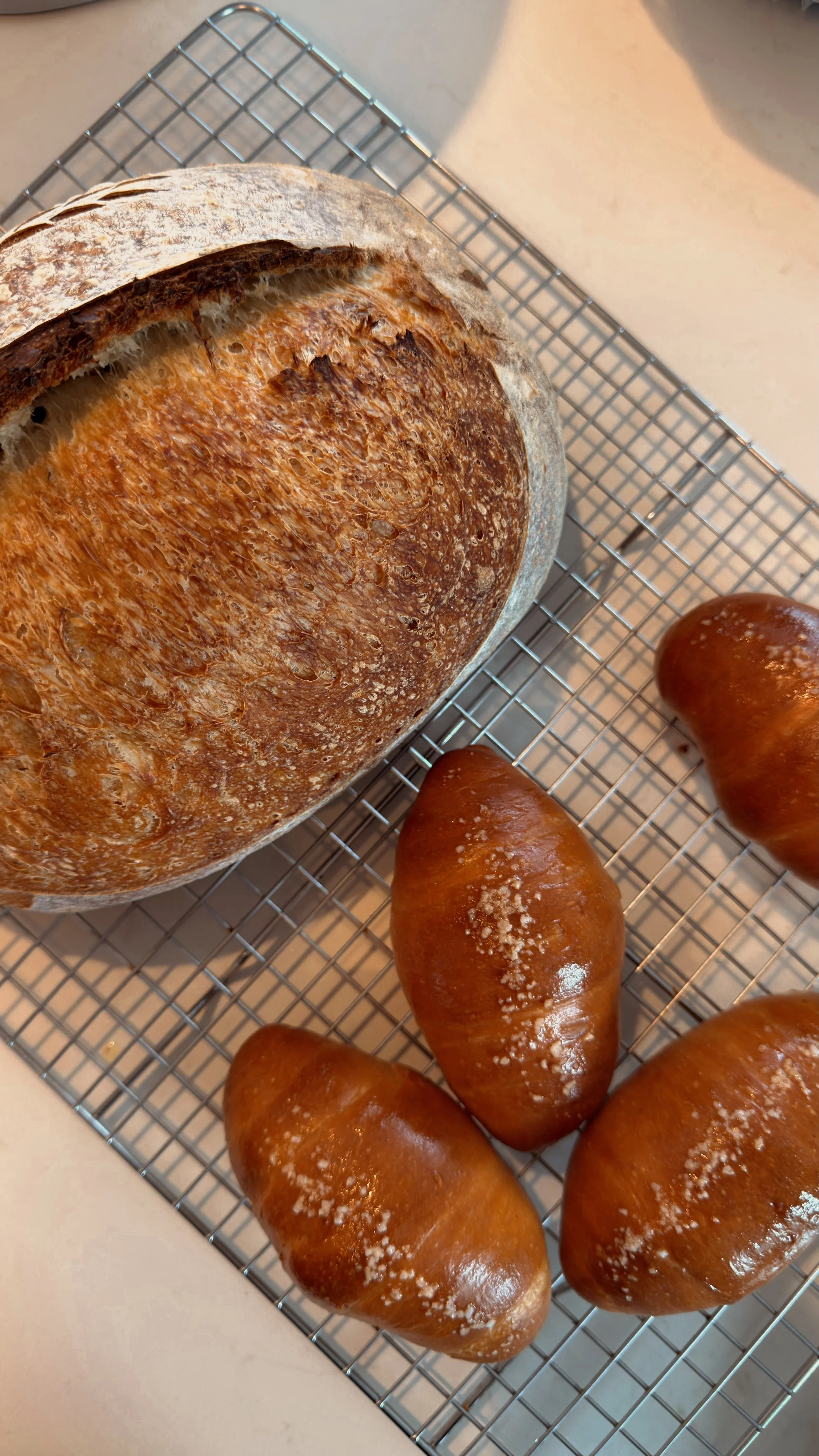 sourdough and salt bread in nyc