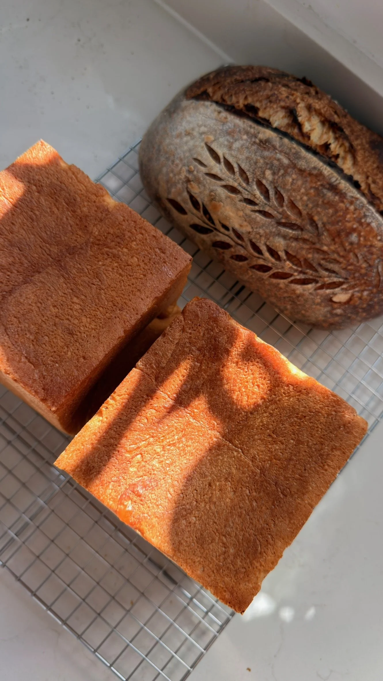 aerial-milkbread-sourdough-score.JPG
