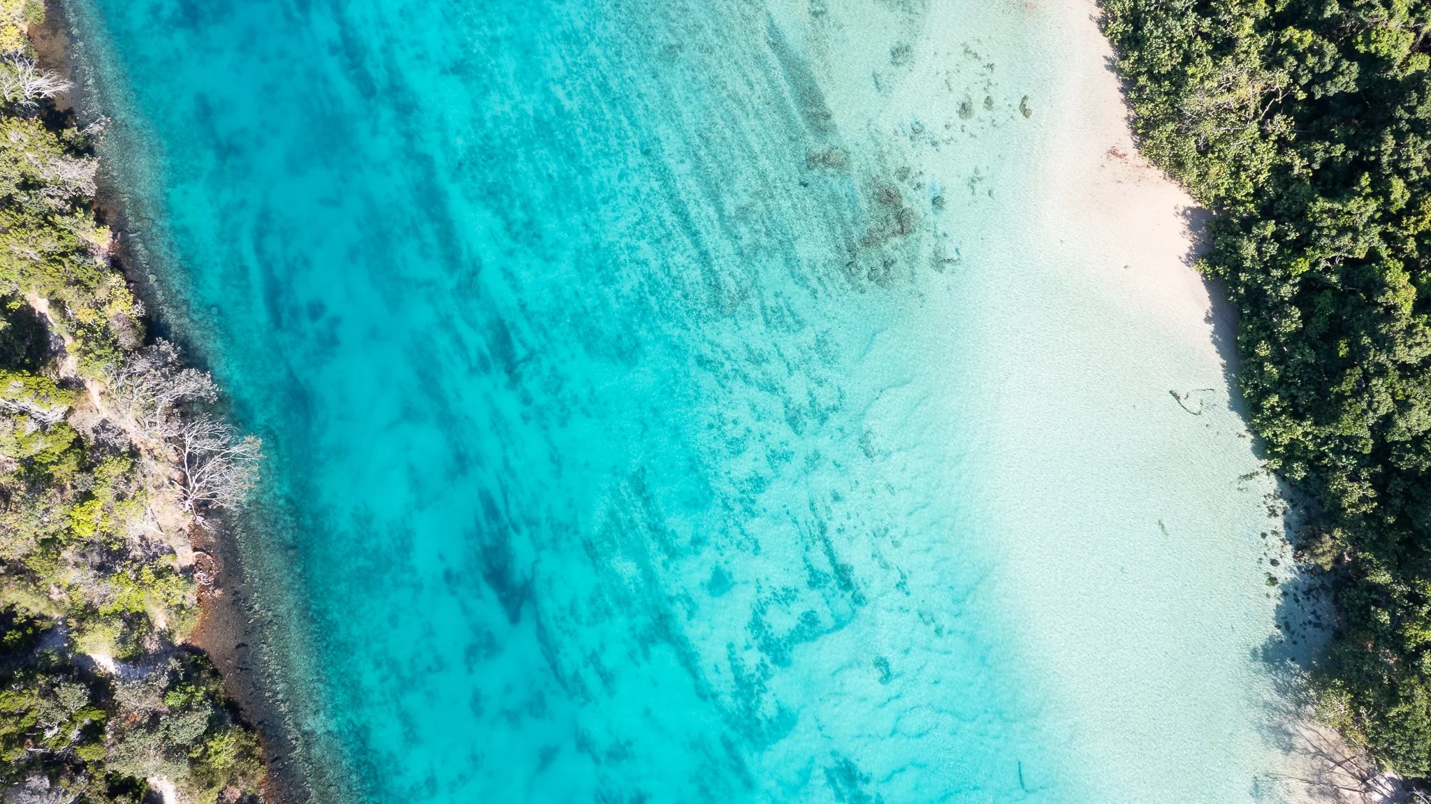 DJI_0795.jpg