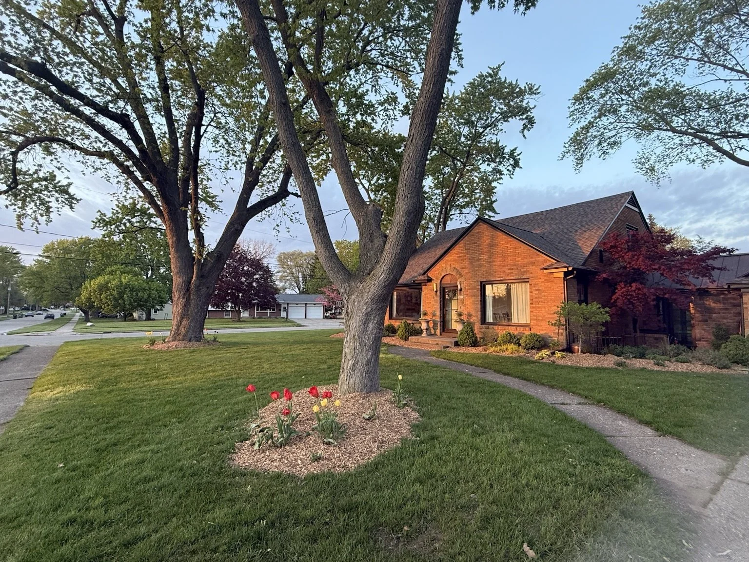 The photo shows a brick house with a well-kept front yard featuring a large tree, a flower bed with tulips, and a concrete walkway leading to the front door. The house is illuminated by the setting sun, with neighboring houses and trees visible in th