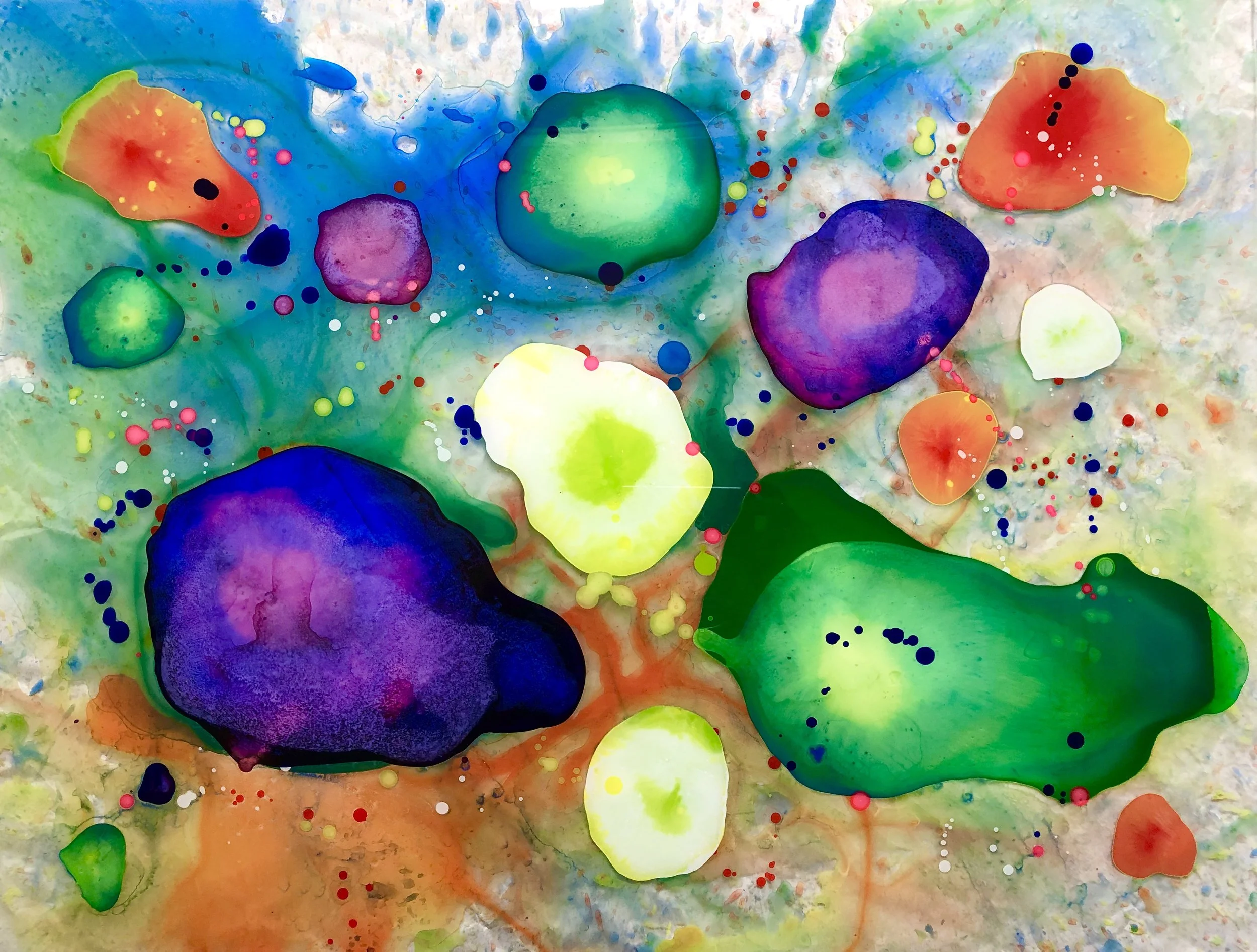 "Lily Pond"