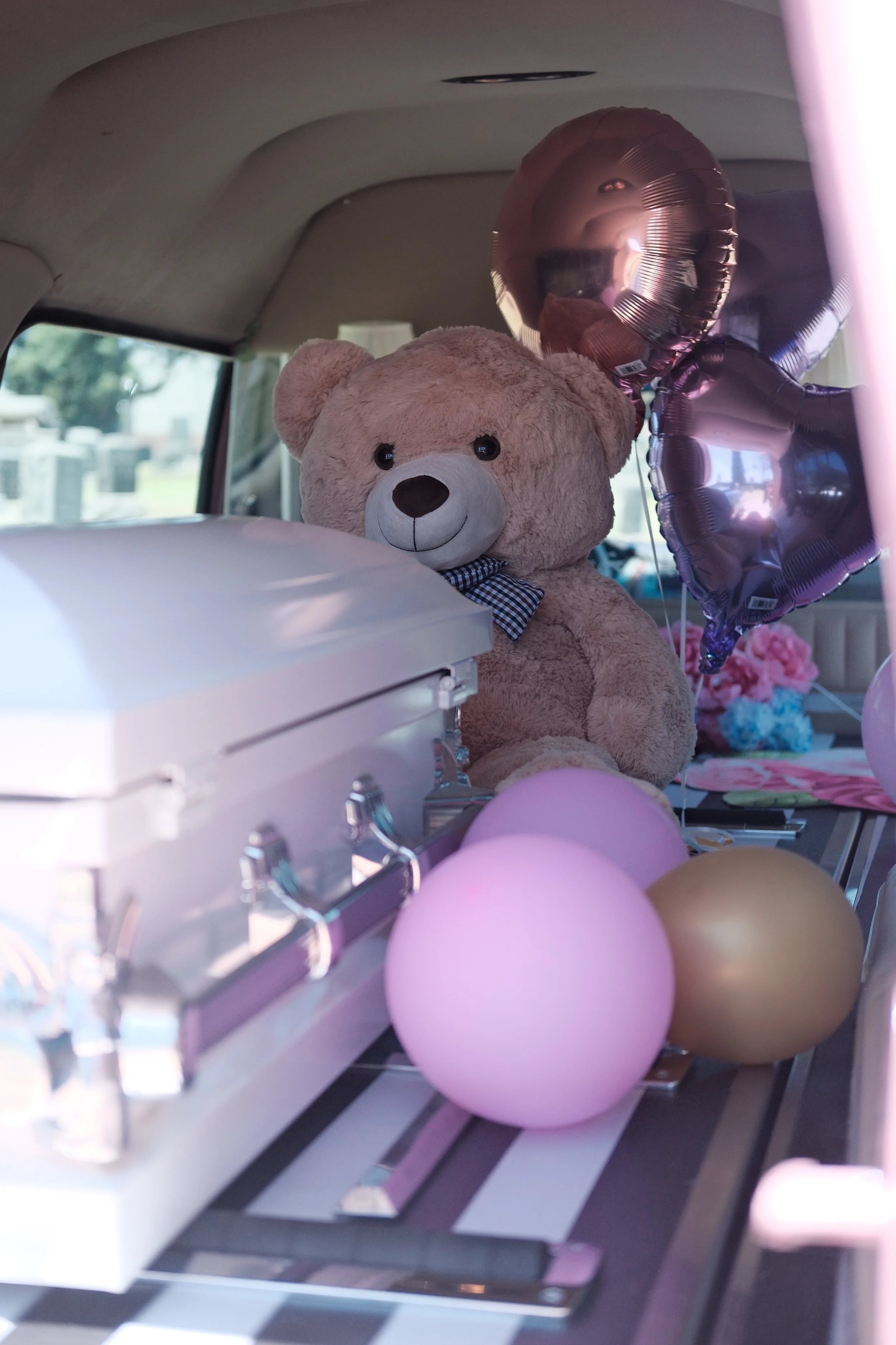 A large pink teddy bear with black eyes and a checkered bow tie sits inside a vehicle, with pink, purple, and beige balloons around it.
