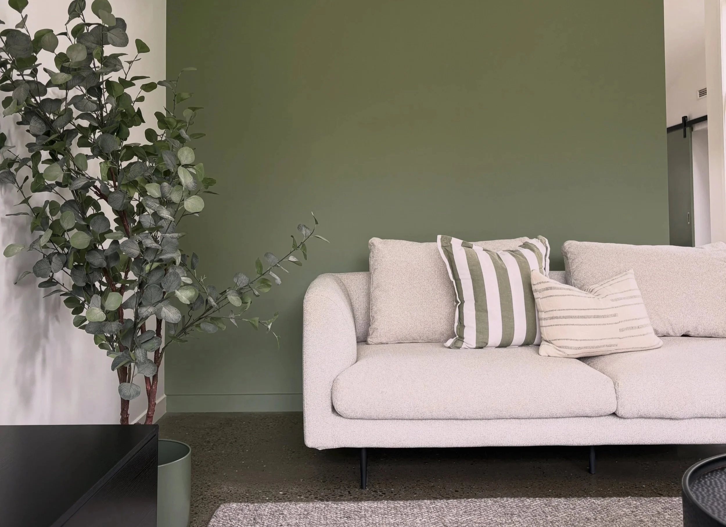 A beige sofa with multiple striped pillows, a green accent wall, a tall eucalyptus plant in a black pot, and a white wall with a door on the right side.