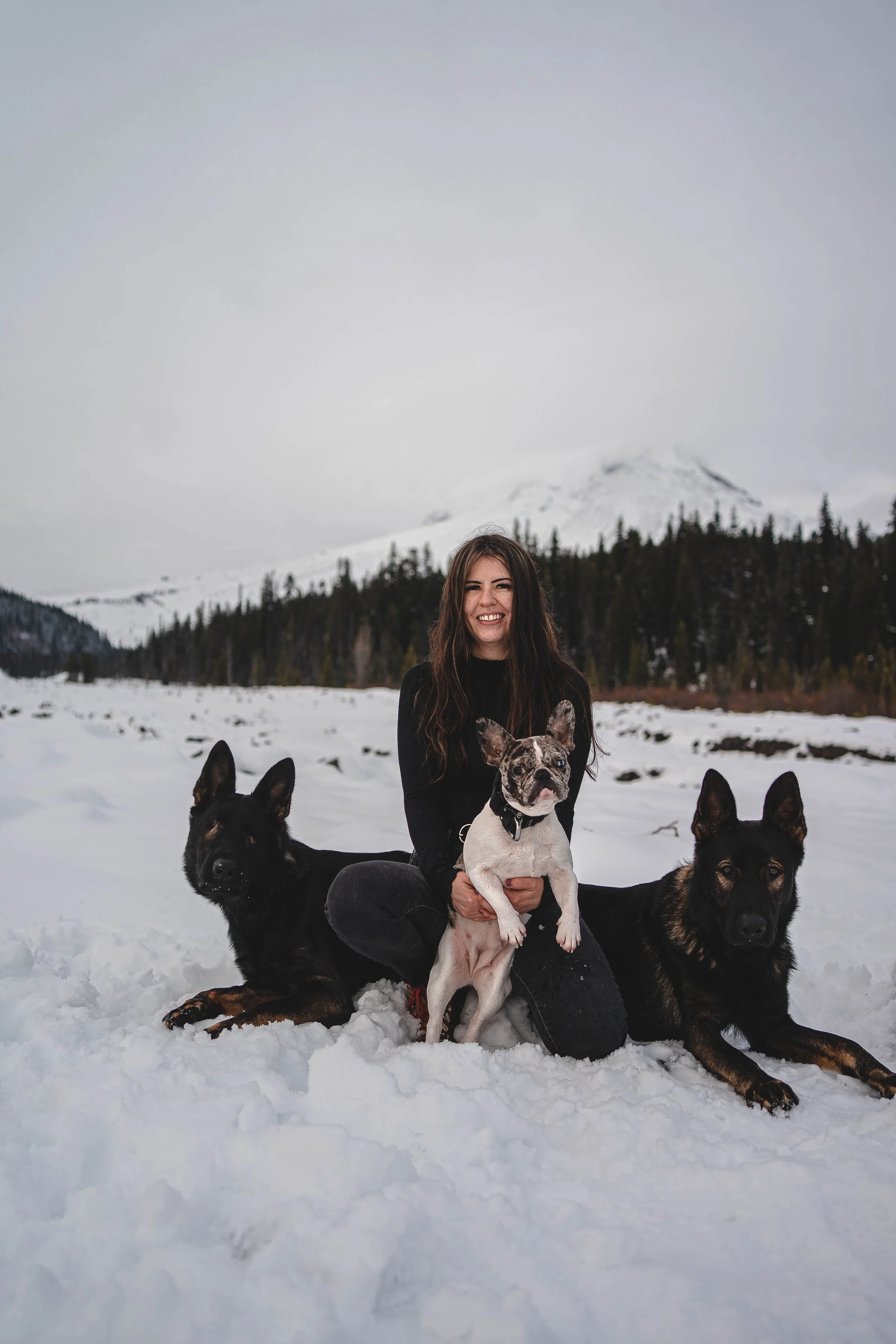 A woman in a black sweater sitting on snow with a Fordie and a German Shepherd sitting beside her in a snowy mountain landscape with a snow-capped mountain in the background.