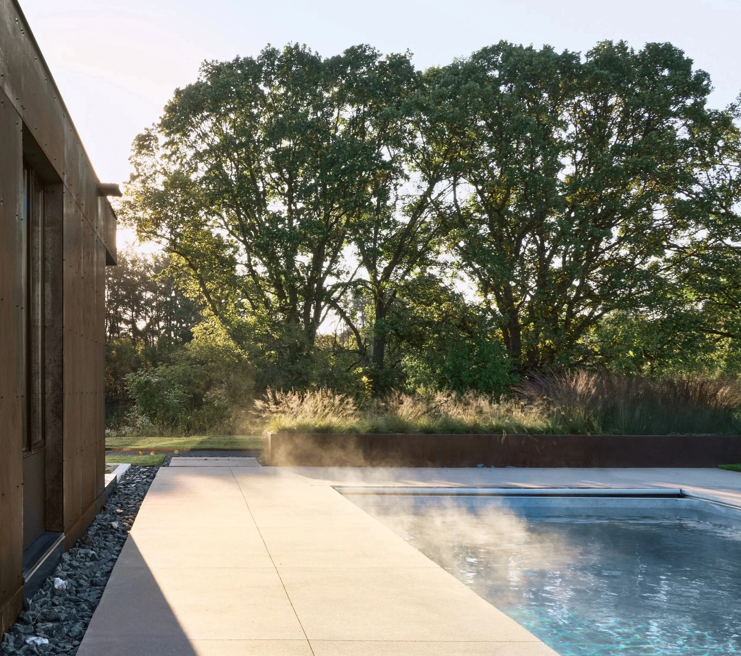 Modern backyard with a concrete patio, a water feature, and a large tree with sunlight filtering through its leaves.