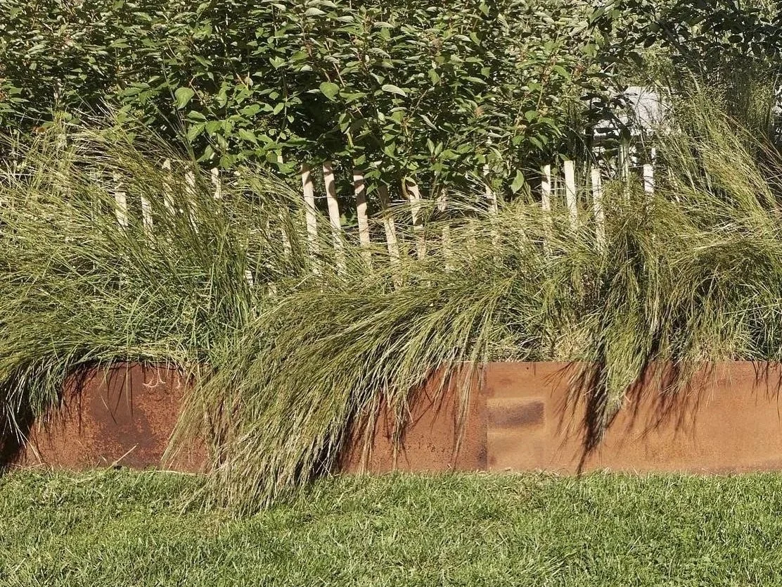 A landscaped garden with tall ornamental grass in a brick planter, behind a green lawn and a wooden fence with bushes.