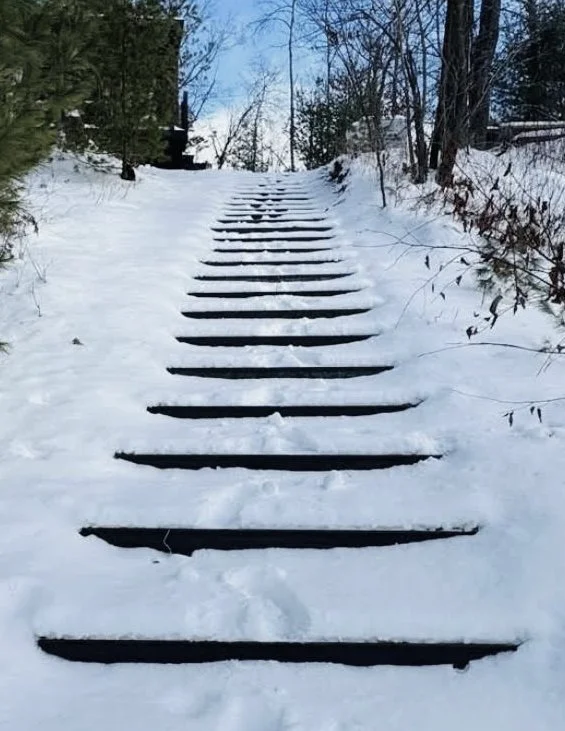 Snow-covered wooden steps ascending a hill, with trees on both sides and a cloudy sky overhead.