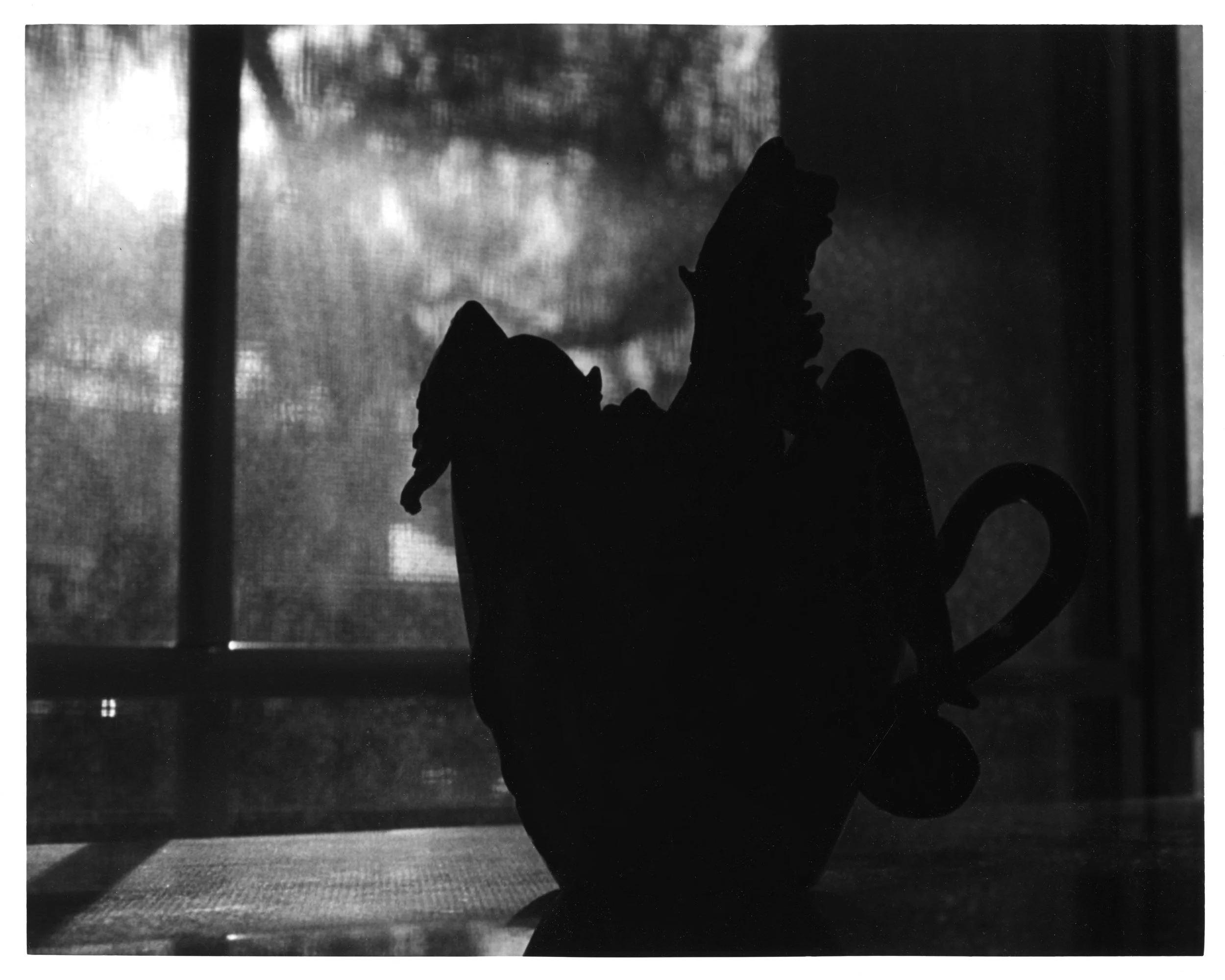Silhouette of a person's profile with an arm raised and a finger pointing upward, set against a blurred background with a window and drapes.