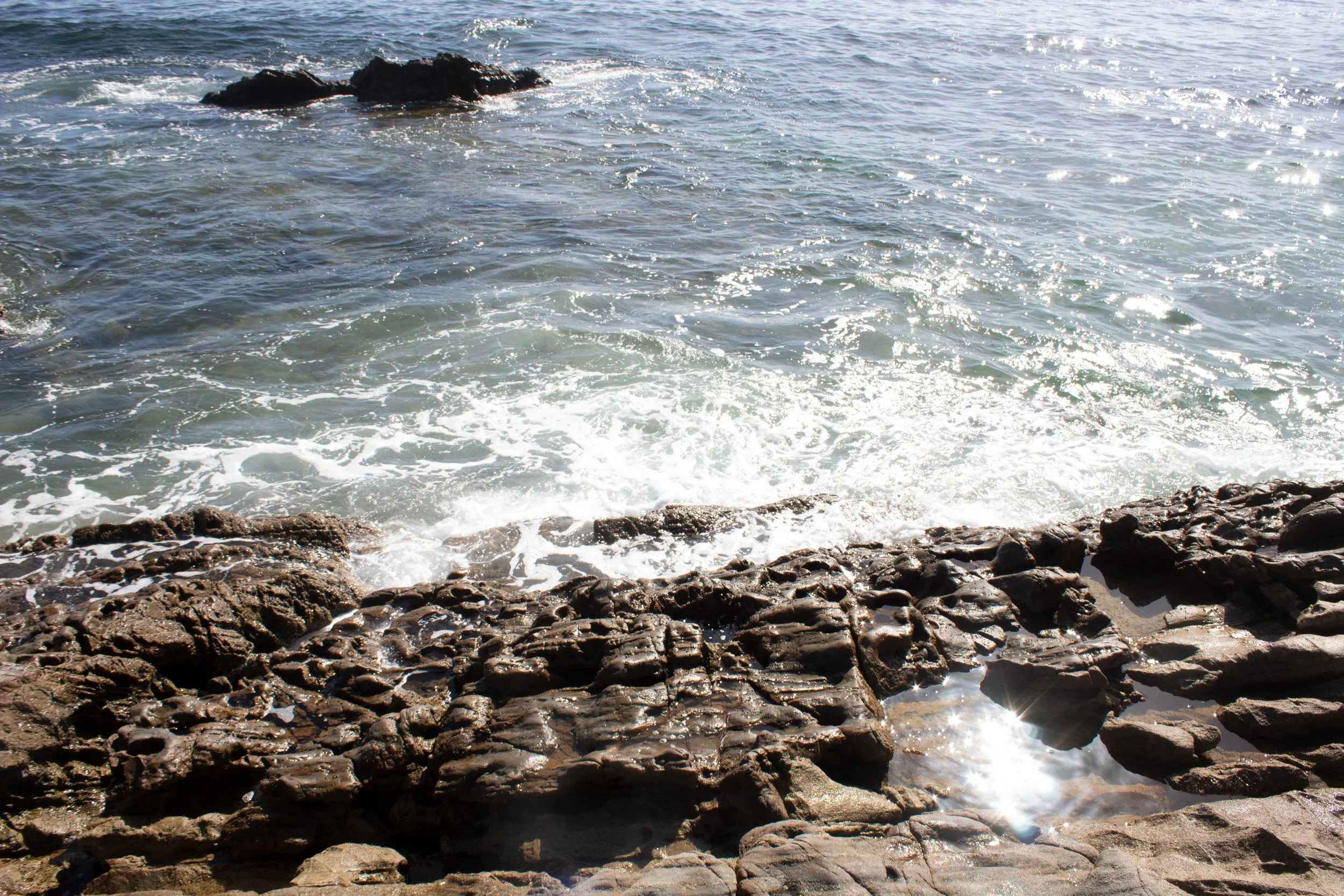 IMG_7021.jpg