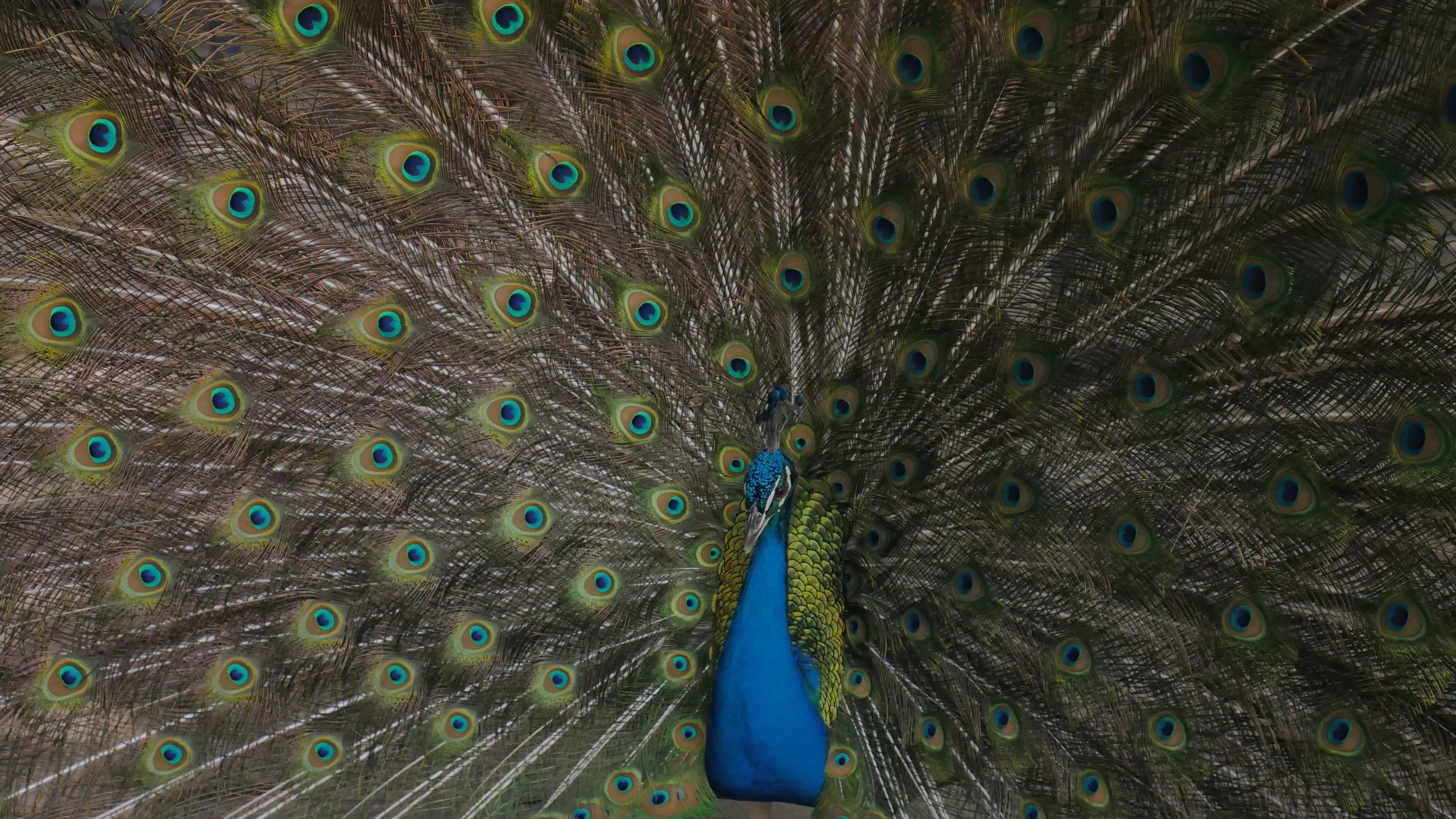 P1060646.JPG