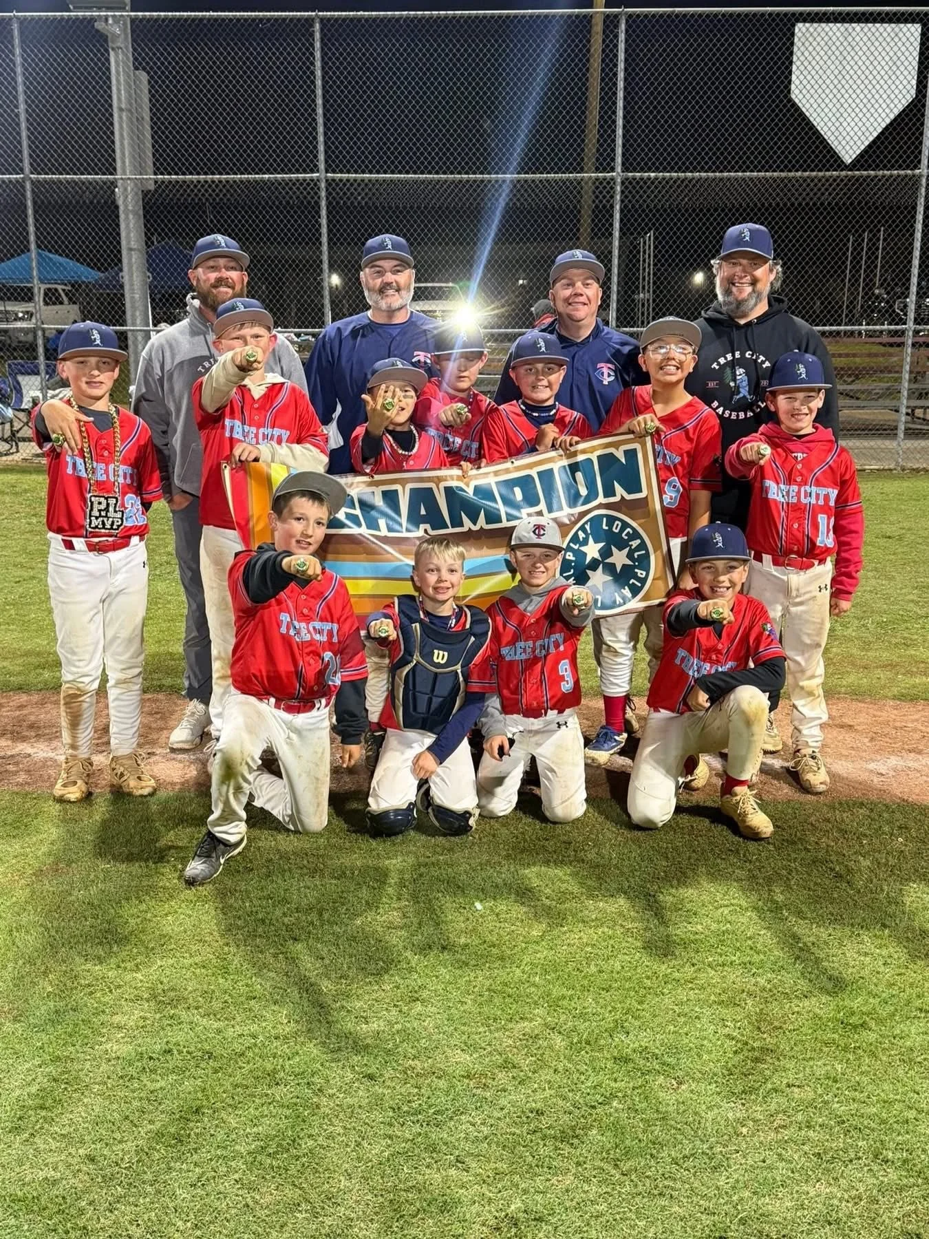 Chances to train with Tree City Baseball</span>