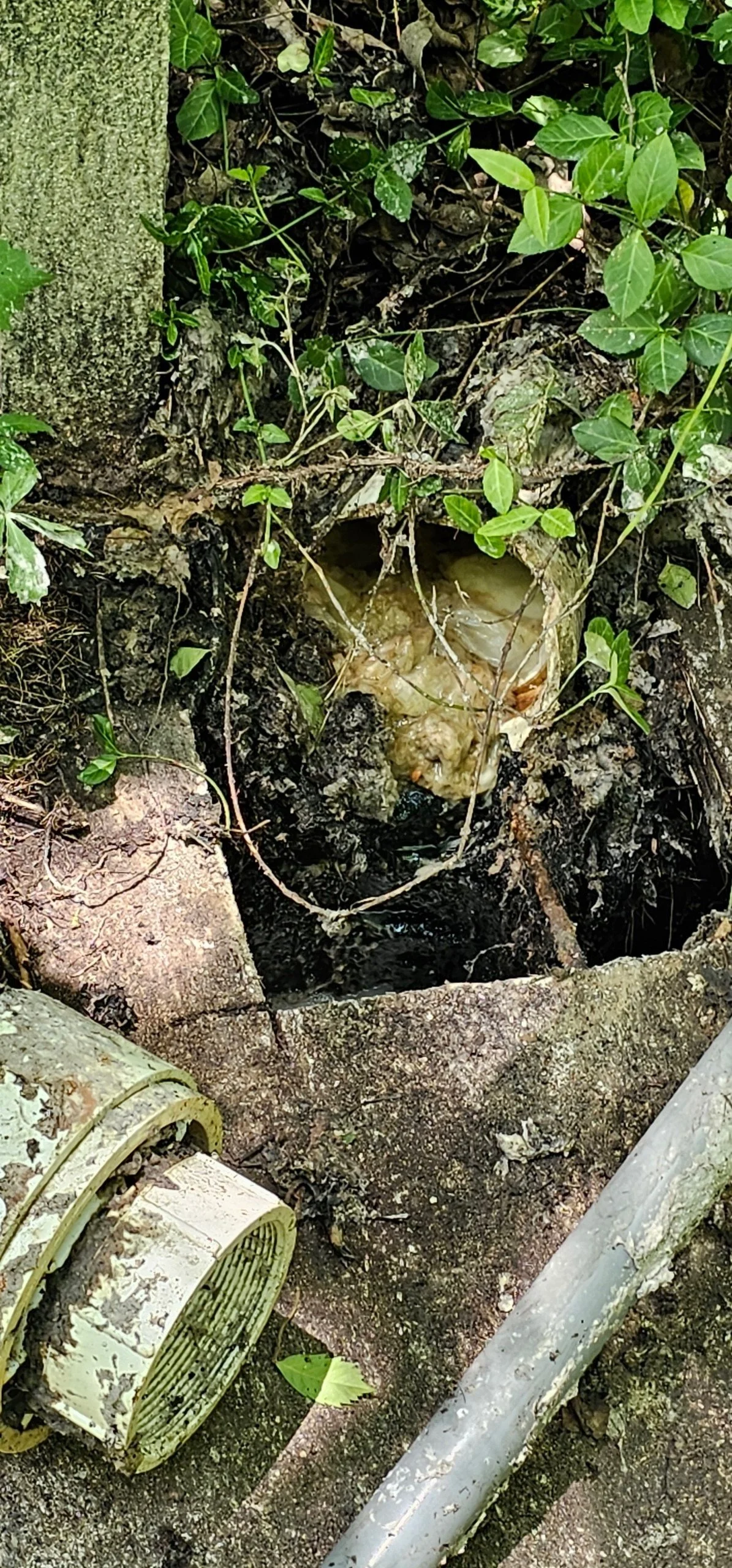 Sewer4.jpeg