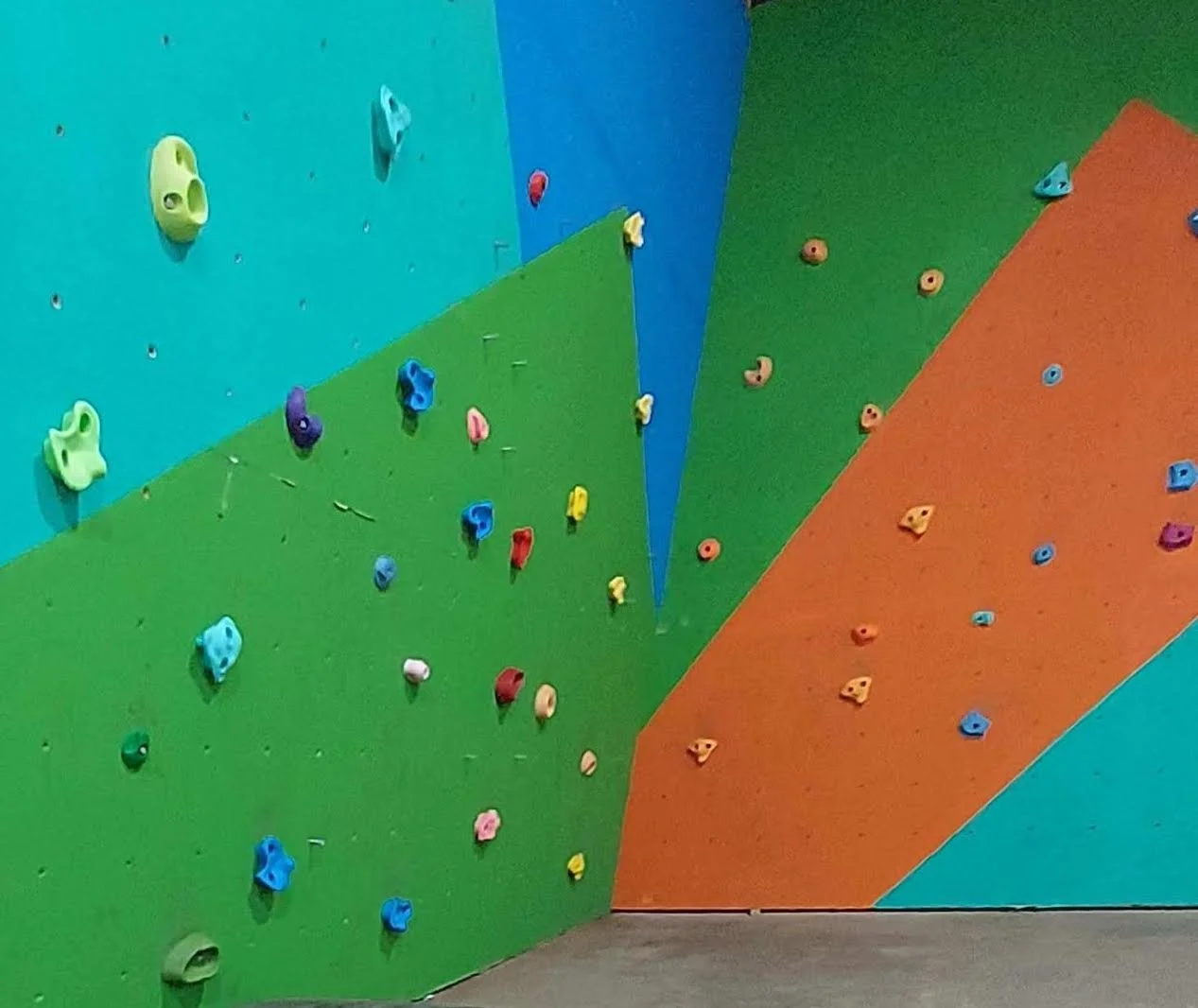 Treehouse - climbing wall.jpg