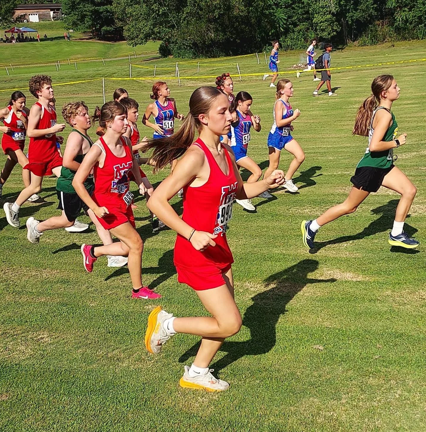 WCMS - Claire Jenkins.jpg