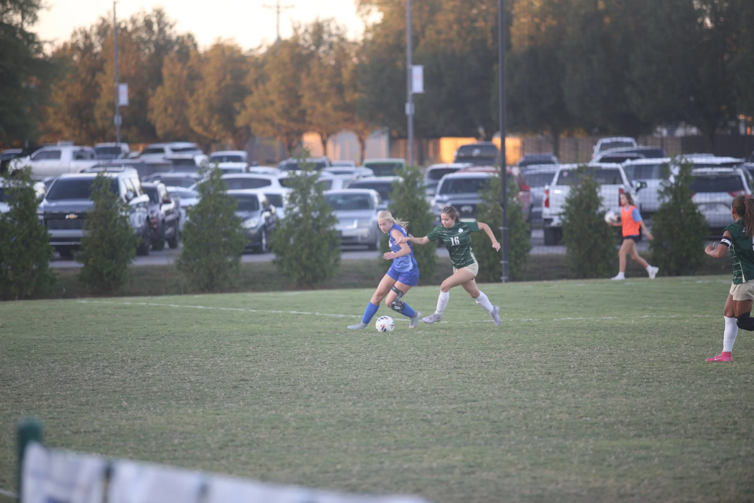 IMG_7849.JPG