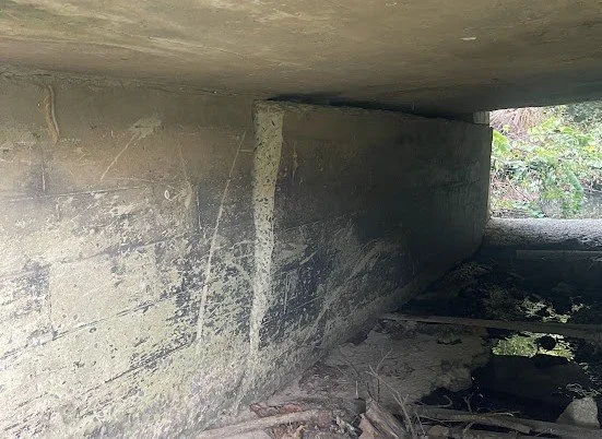 Cooper Road1.jpg