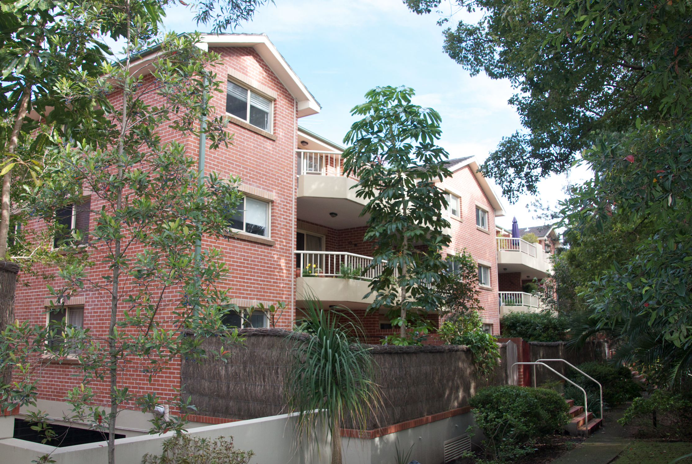 Green Tree's Manly Vale