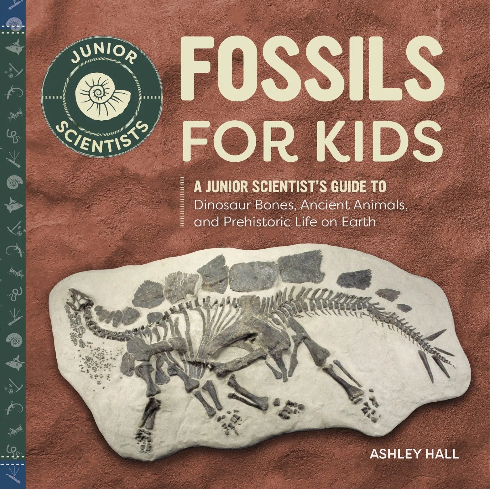 Party Favor Add On: Fossils for Kids Book New