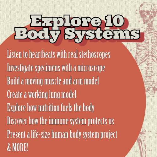 Health Science Course: The Human Body 8-10 Year Olds