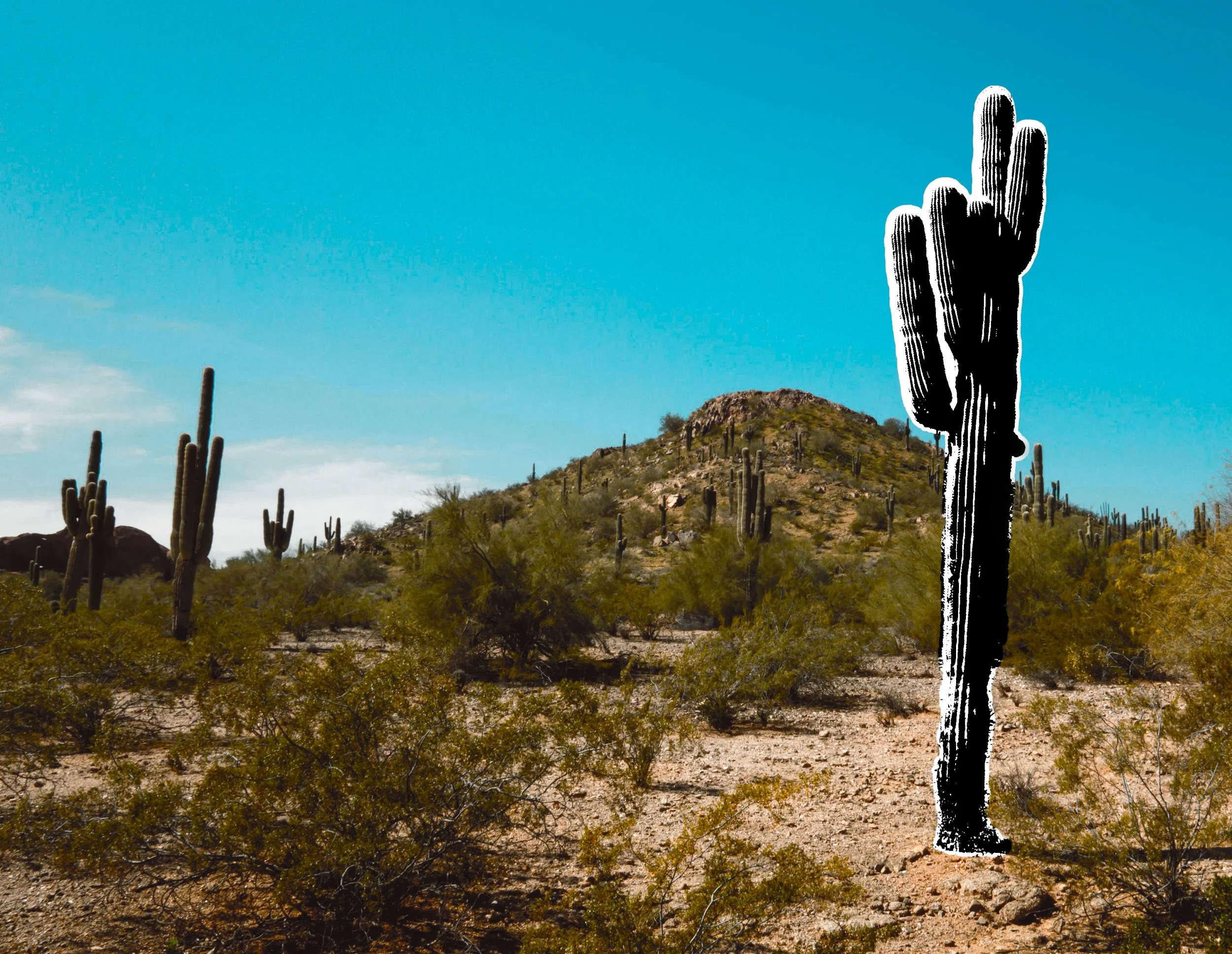 Desert landscape with a large cactus and a hill in the background under a clear blue sky.