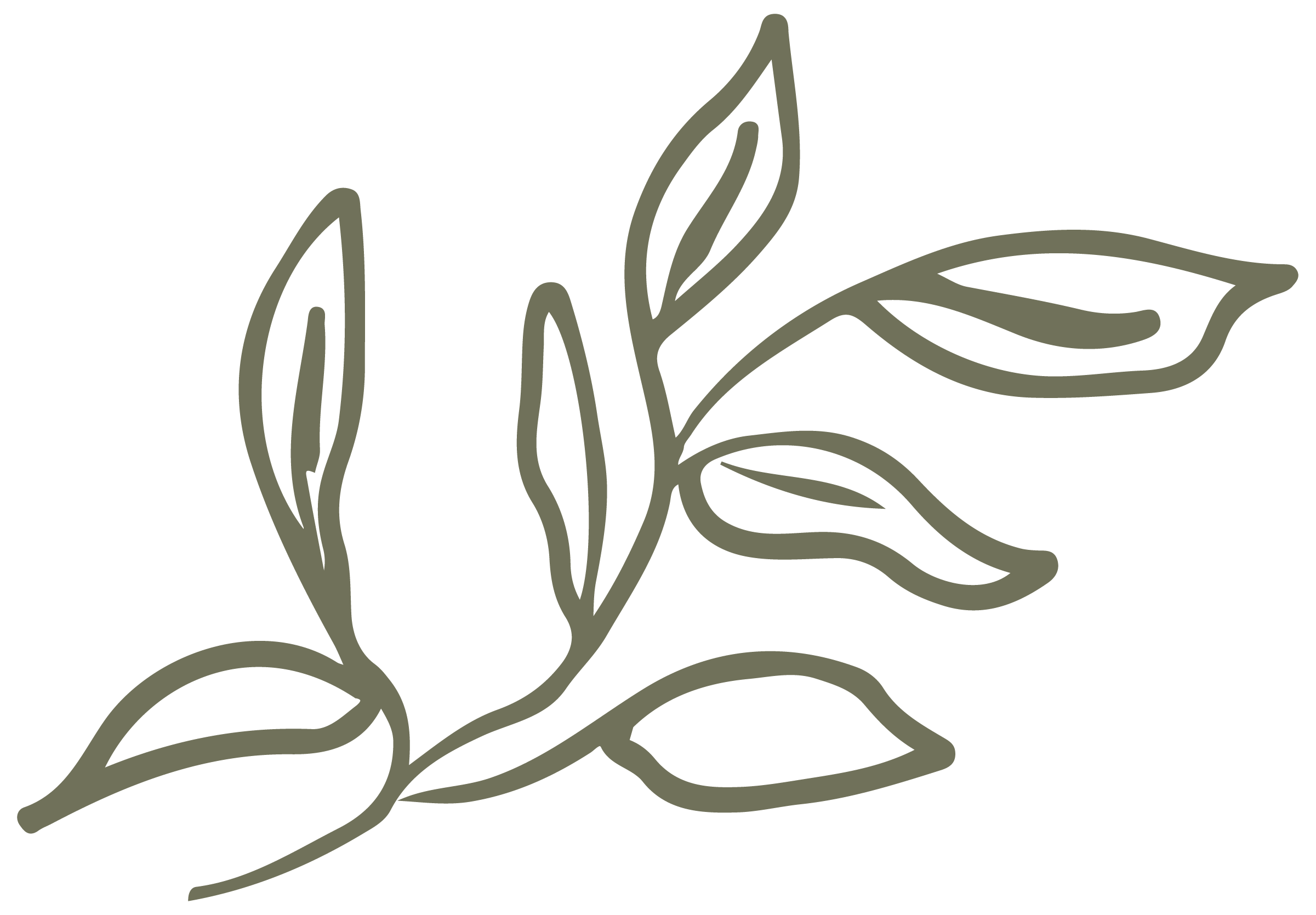 A hand-drawn illustration of a green eucalyptus branch, for Hello Space Online Decluttering Coach