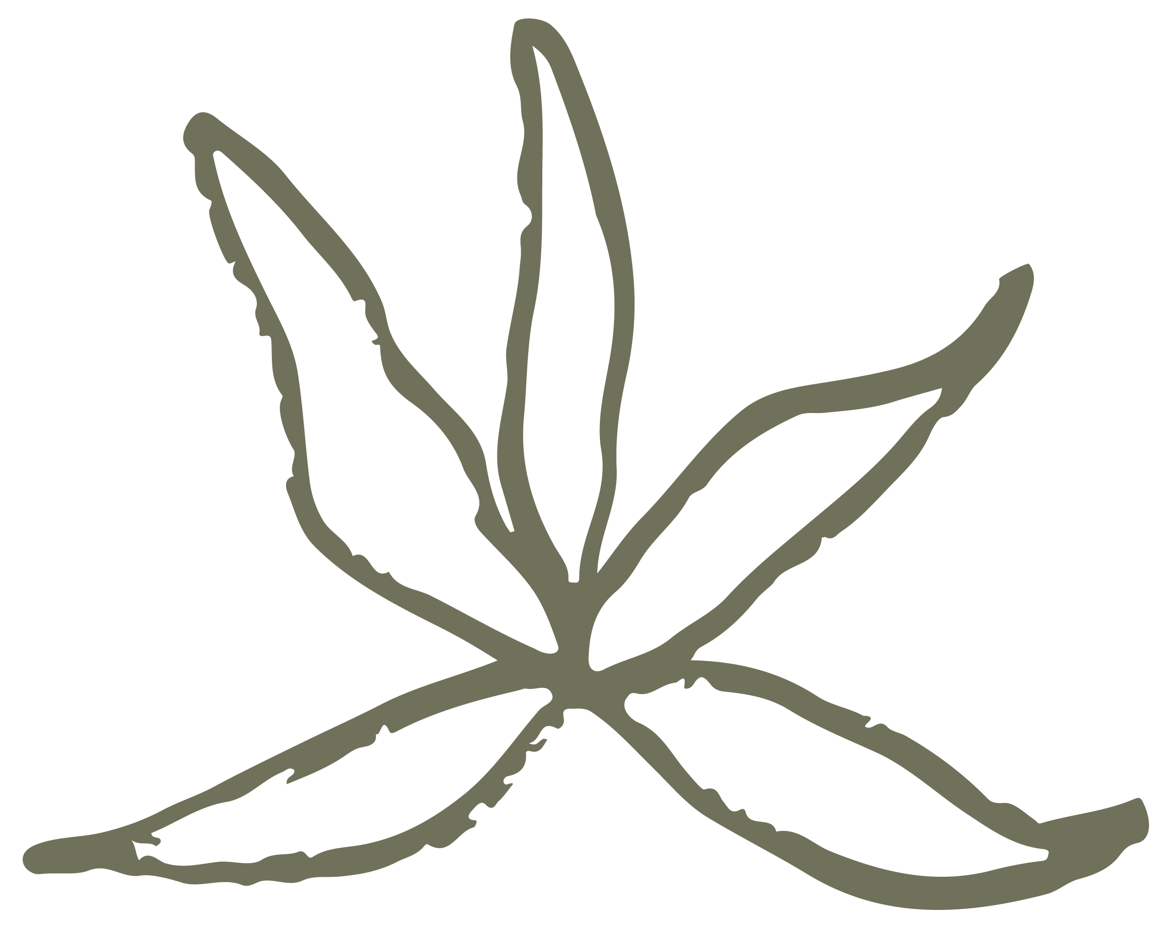 A hand-drawn illustration of a green flower, for Hello Space Online Decluttering Coach